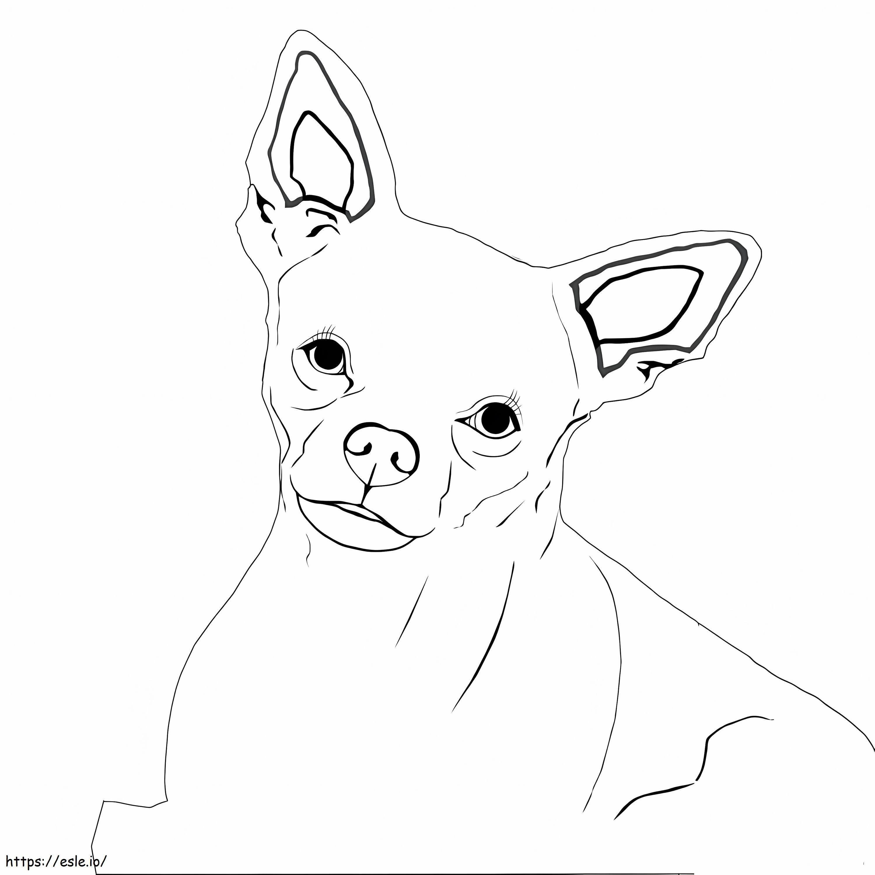 Happy Chihuahua coloring page