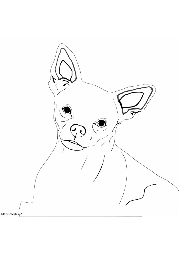 Coloriage Chihuahua heureux à imprimer dessin