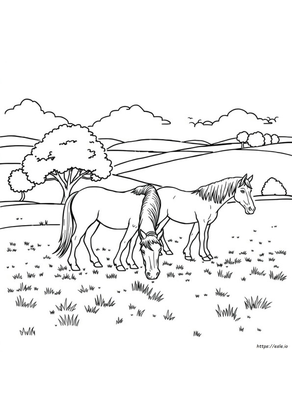 Clydesdale Horse Coloring Pages