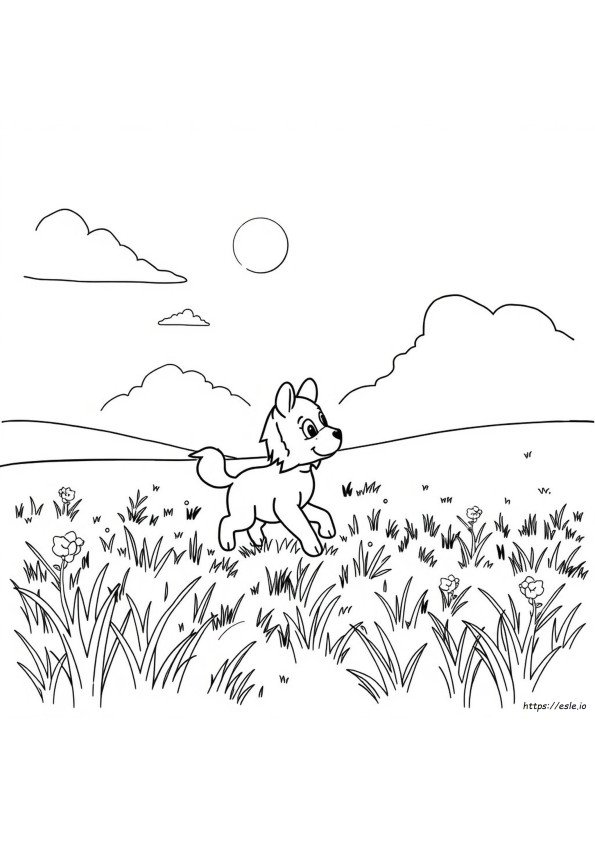 Doma Para Colorir