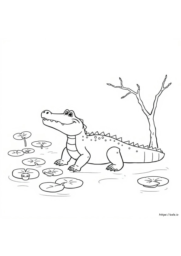 Coloring Page Of A Alligator