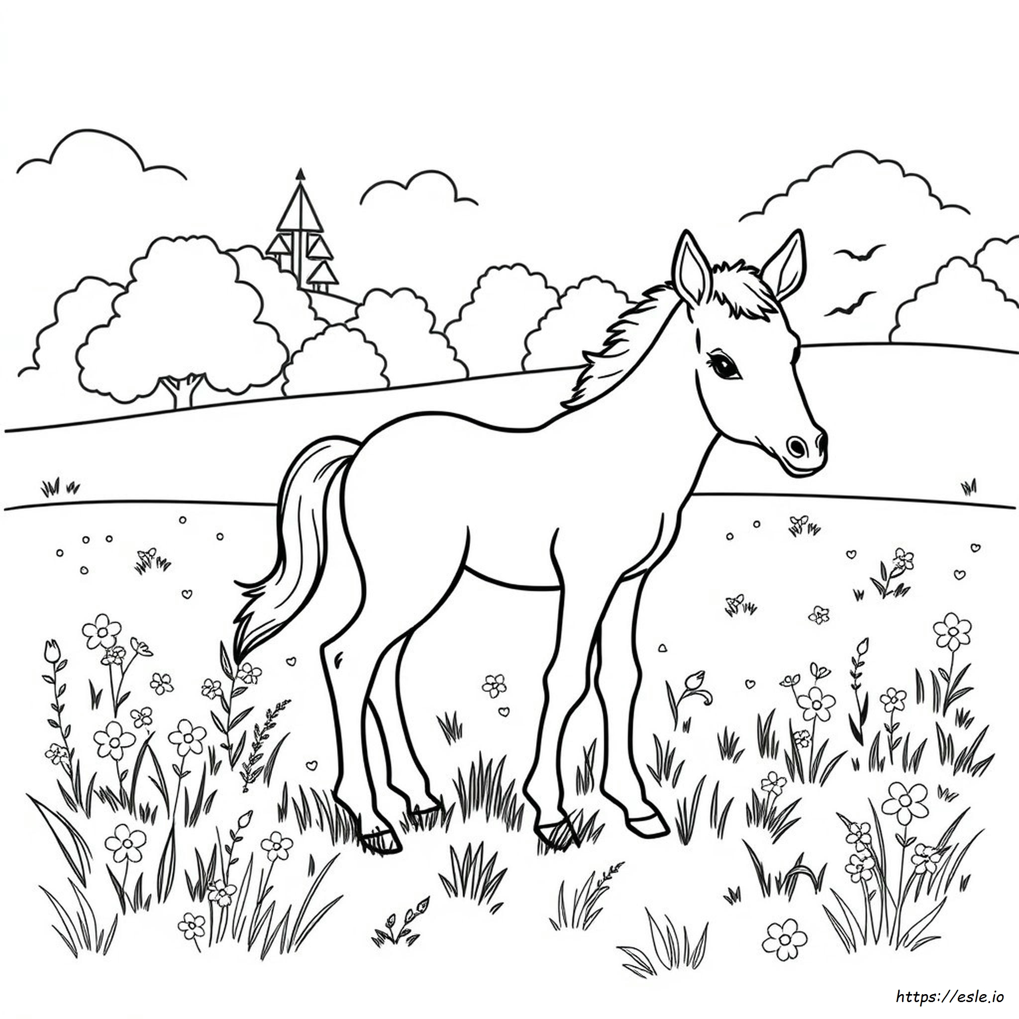 Foal Colouring Pages