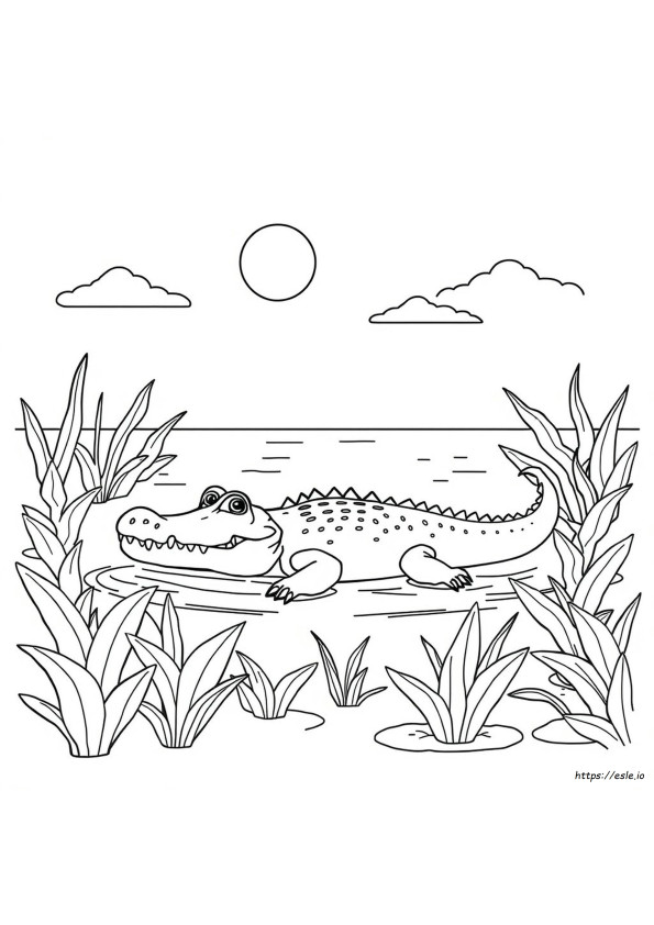 Krokodil Kép Színezéshez