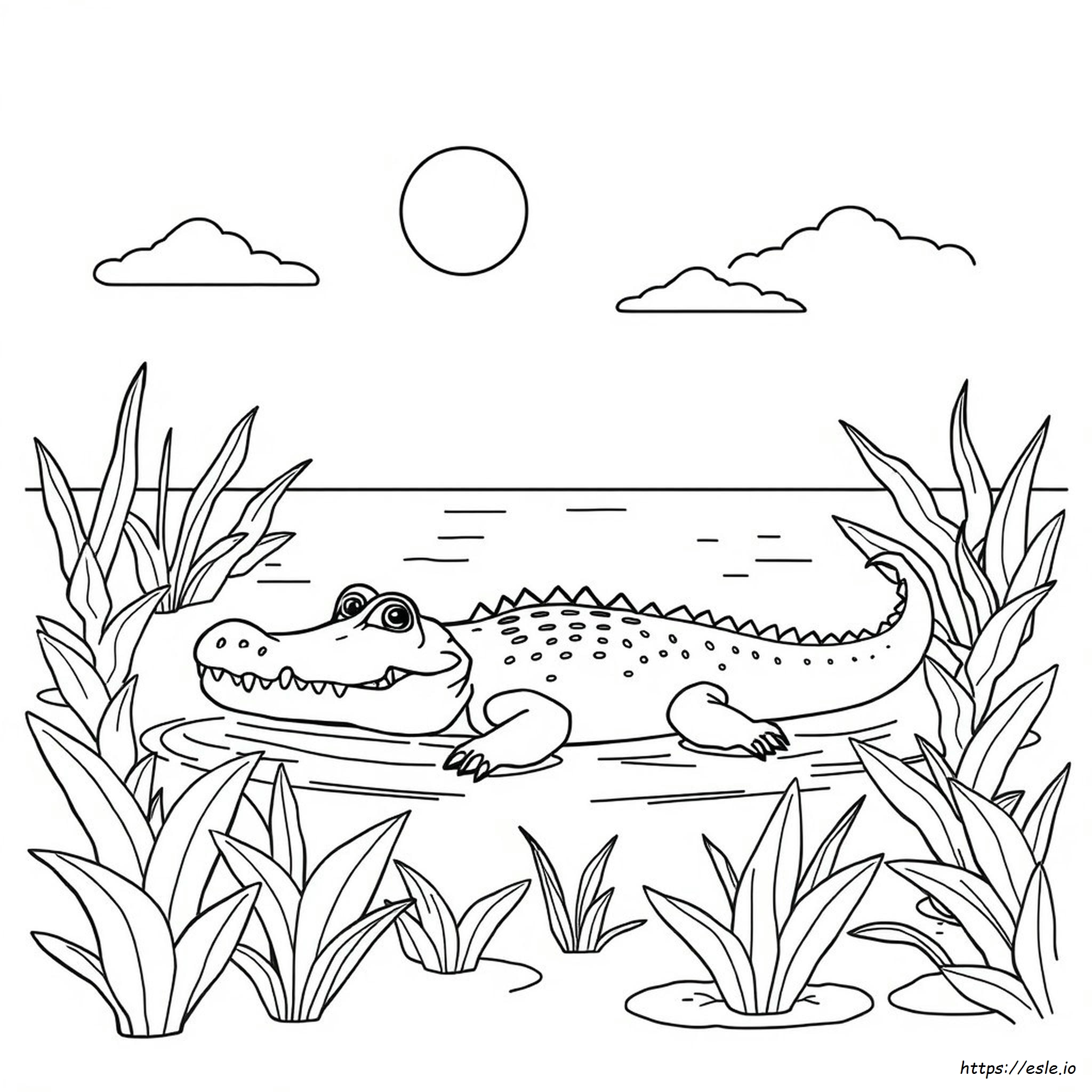 Crocodile Picture For Colouring
