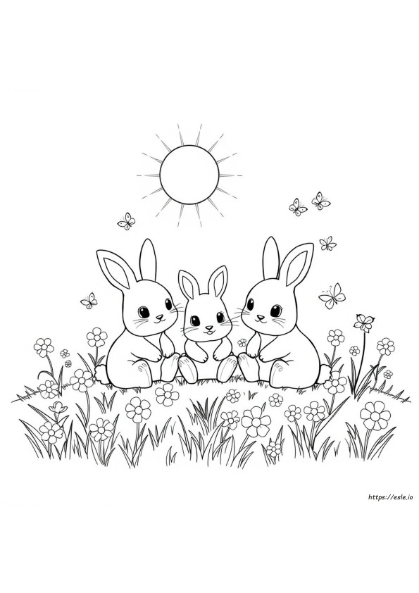 バニーの塗り絵：サニーバニー 無料ぬりえ