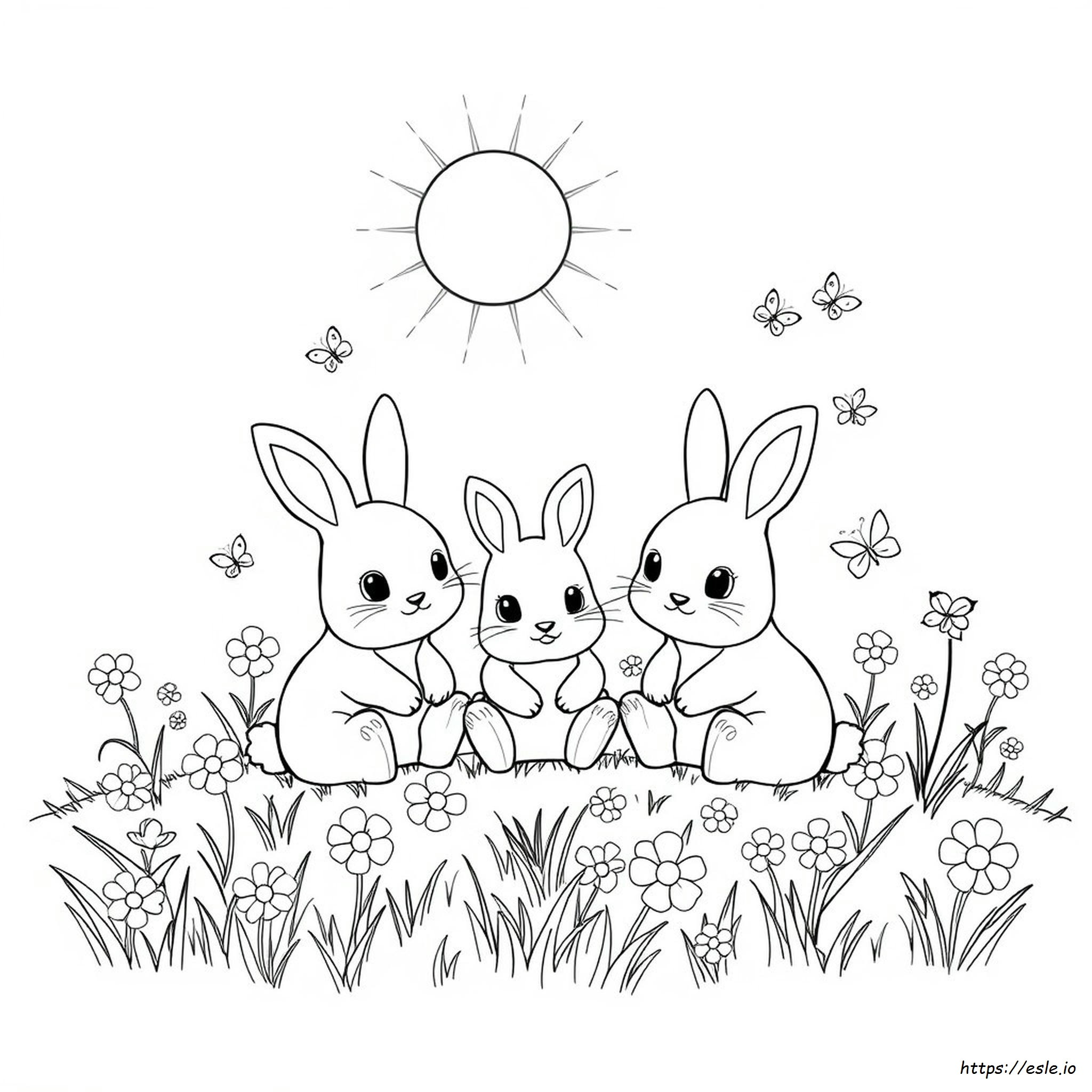 Bunny Colouring Pages Sunny Bunnies Para Colorear E Imprimir