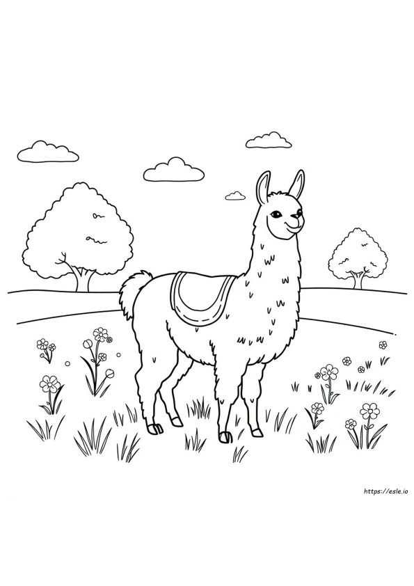 Lhama Para Colorir Pdf