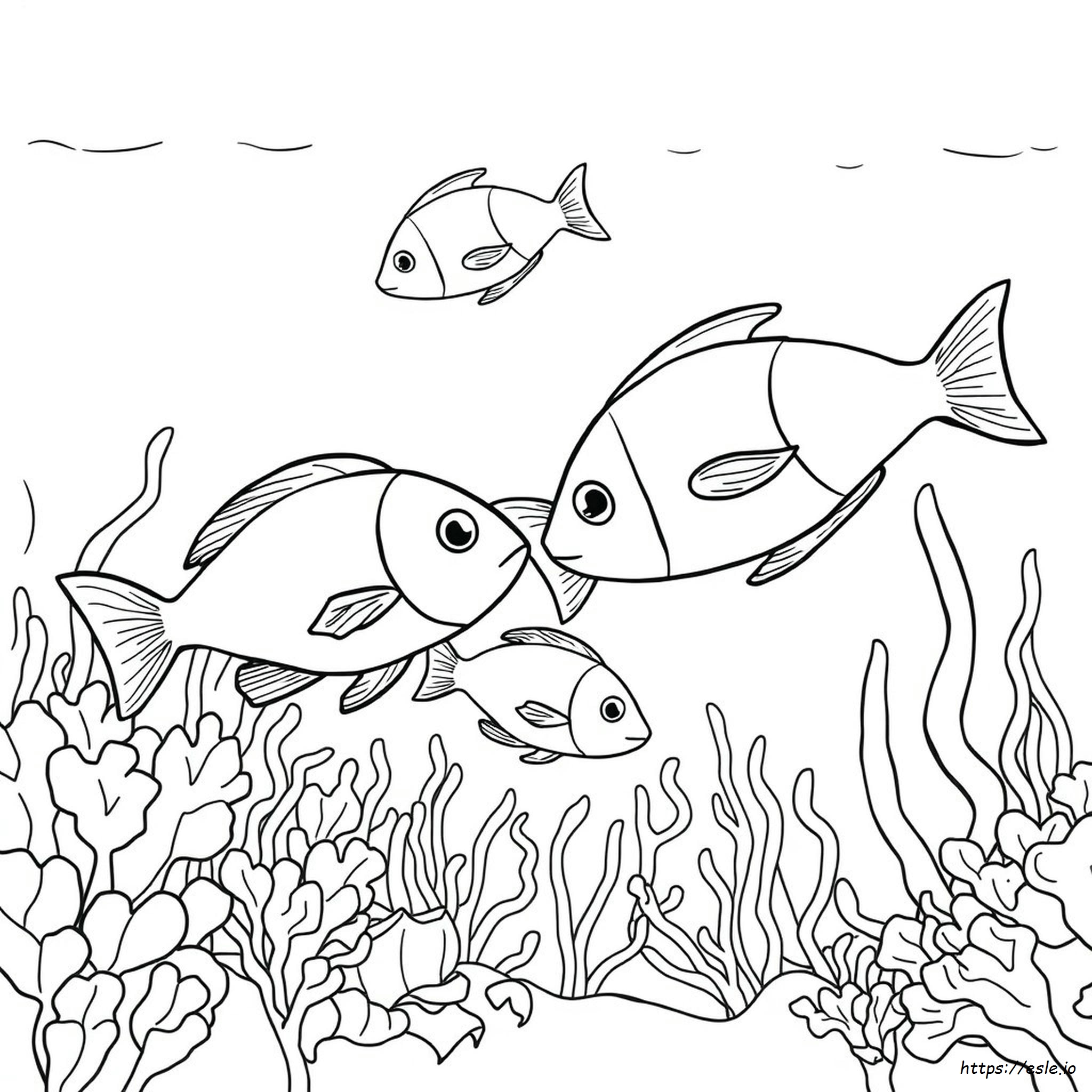 Disegni Da Colorare Di Pesci Oceanici