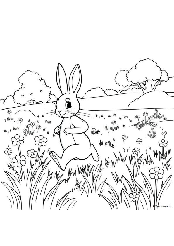 ピーターラビット 塗り絵