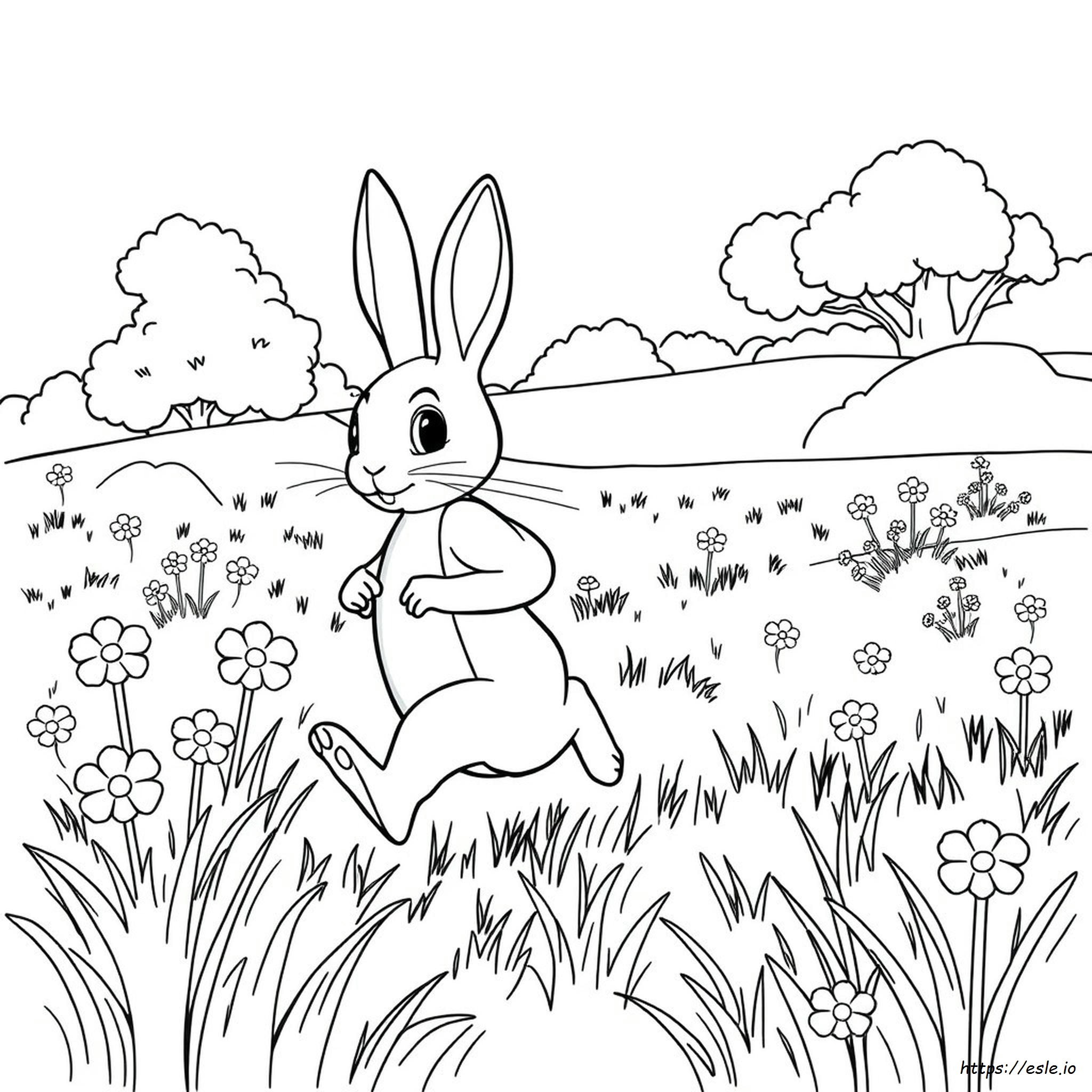 Disegni Di Peter Coniglio Da Colorare