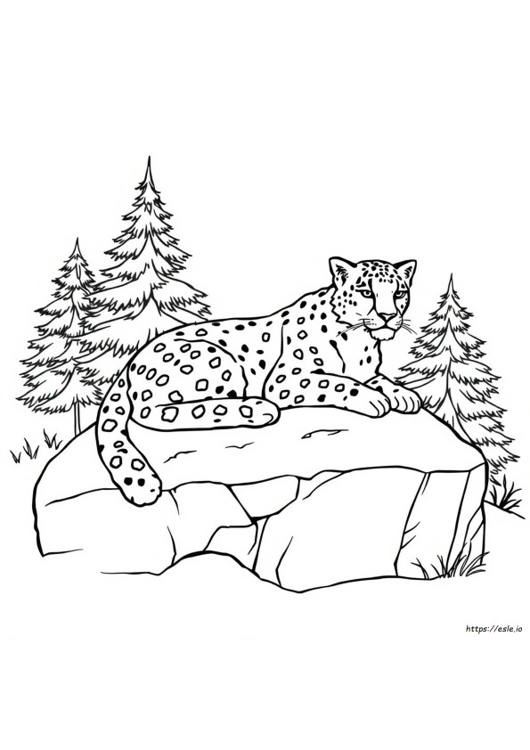 Leopardo Delle Nevi Da Colorare