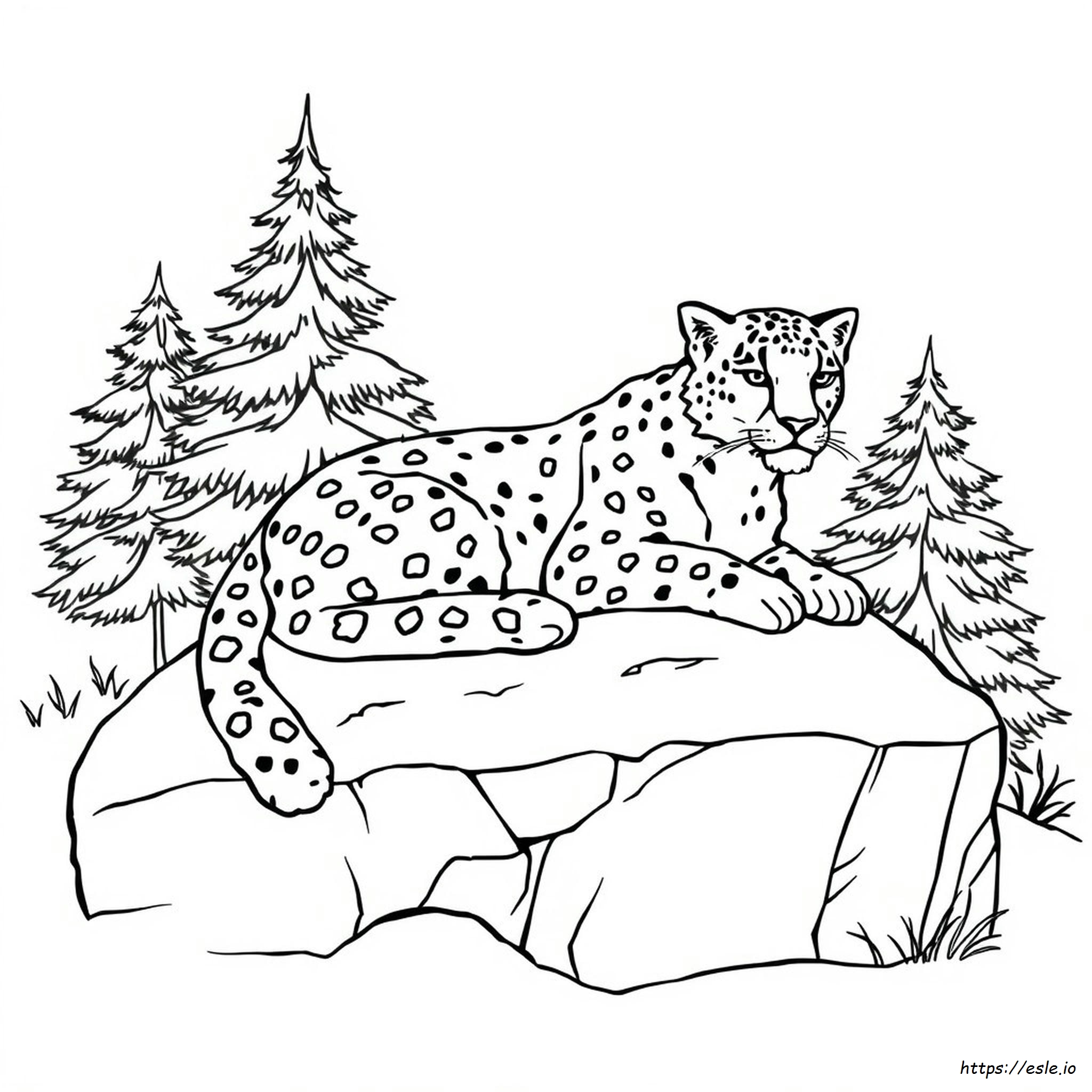 Leopardo Delle Nevi Da Colorare