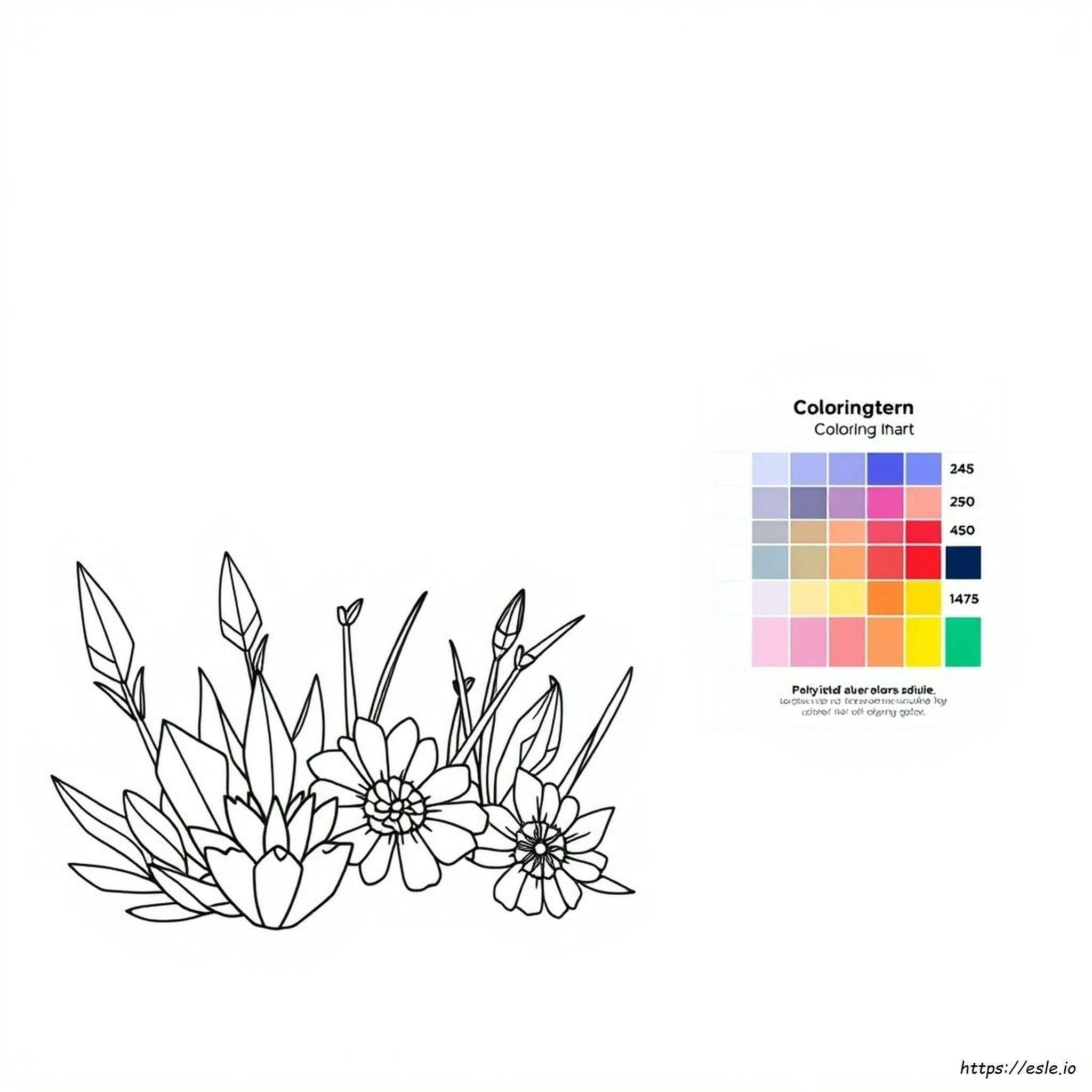 Gambar Mewarnai Dengan Panduan Warna Untuk Dewasa