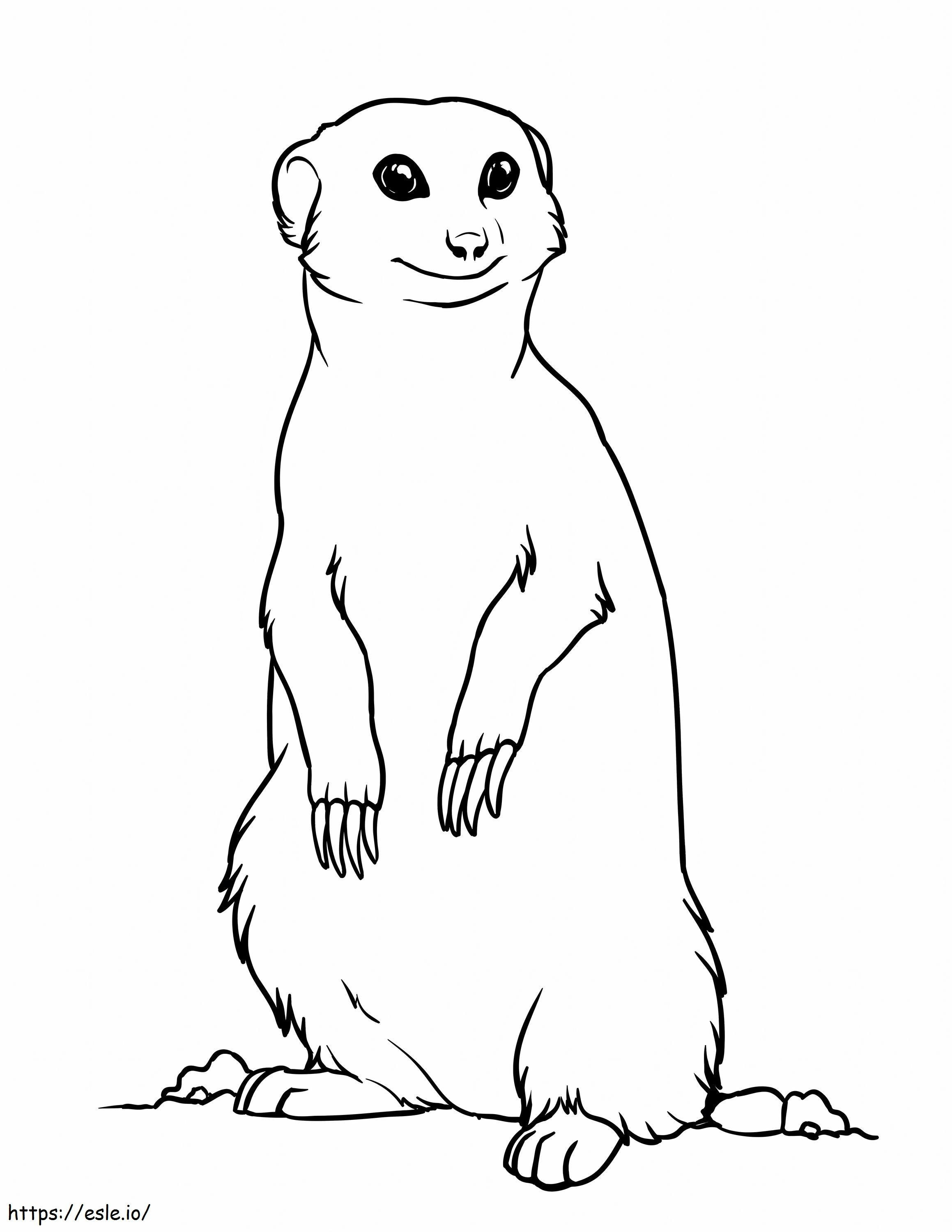 Meerkat imprimível em escala para colorir