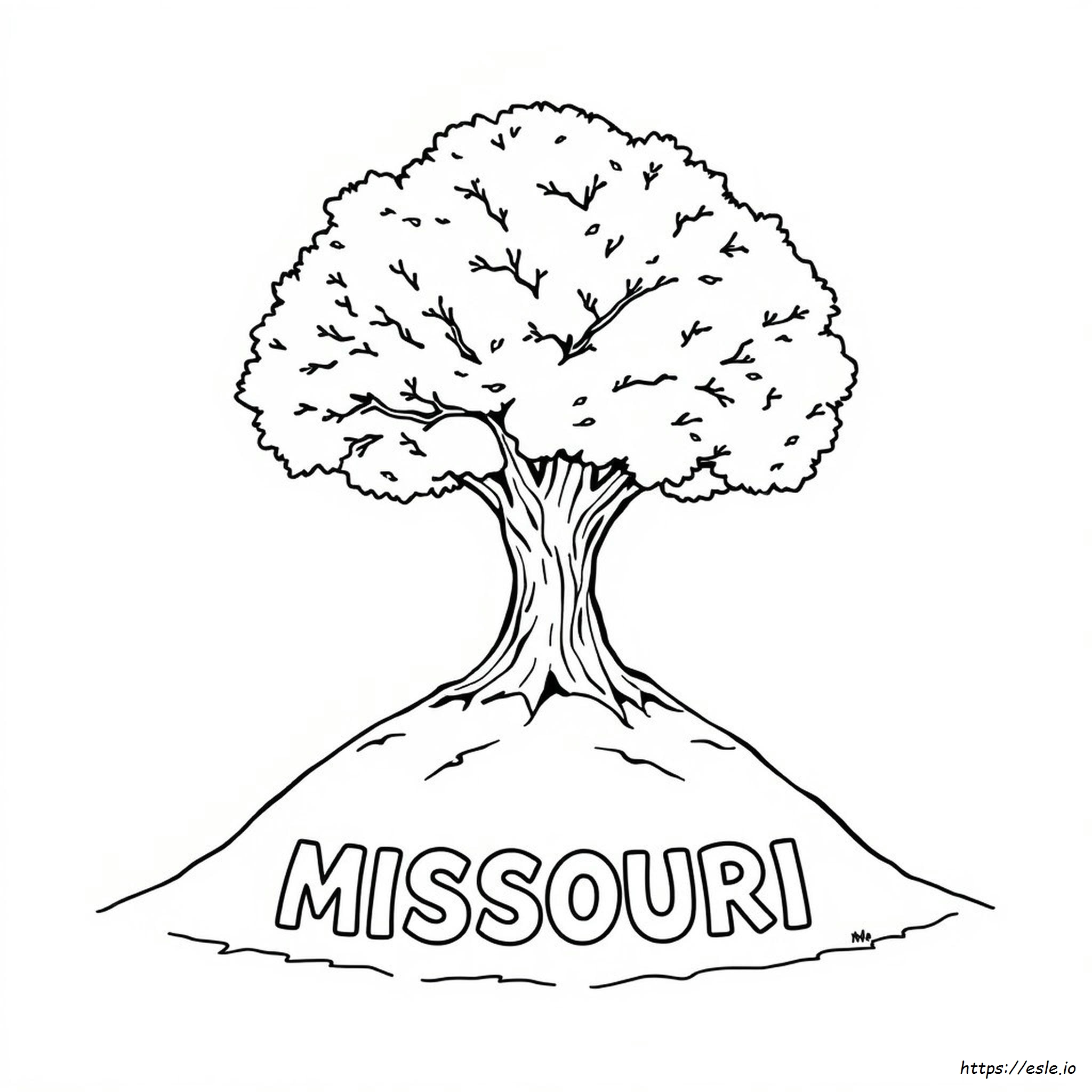 Missouri State Tree Coloring Page