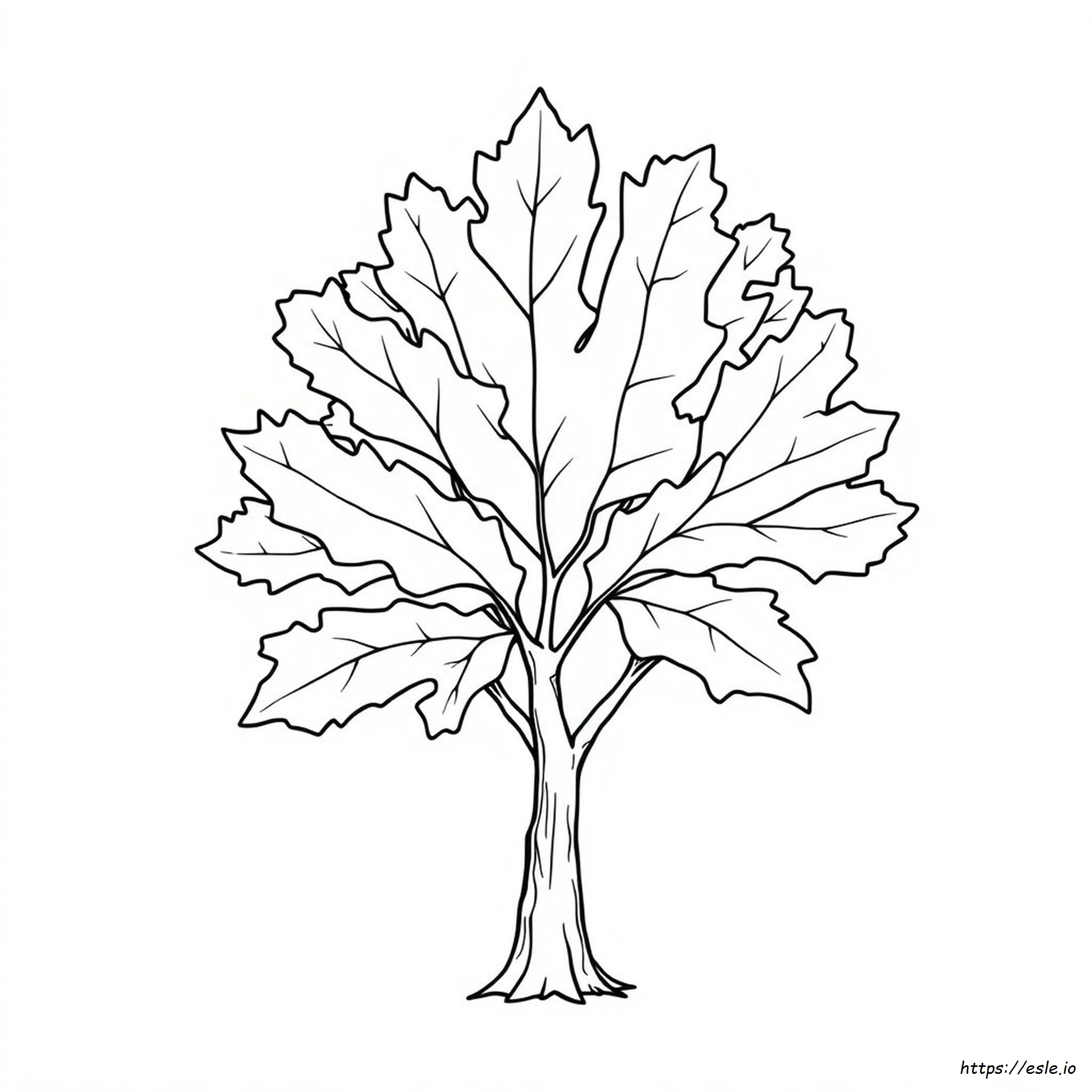 Free Printable Leaf Outline Coloring Pages