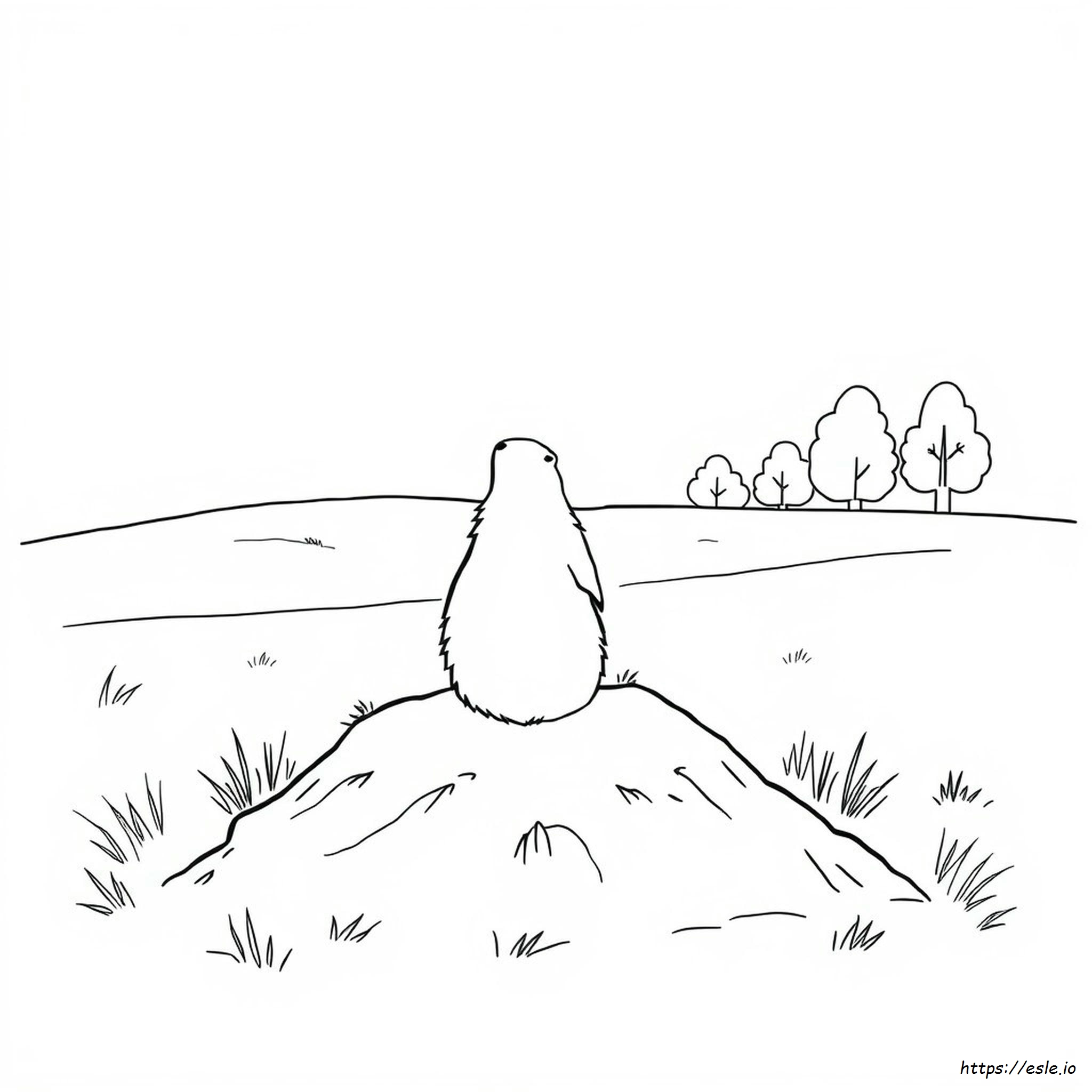 Coloring Page Of A Groundhog