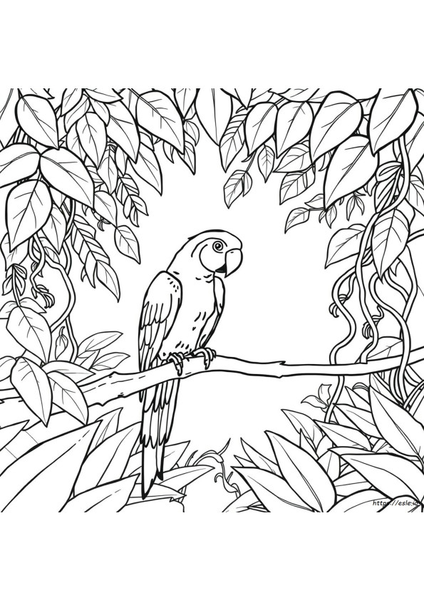 Coloriage Perroquet