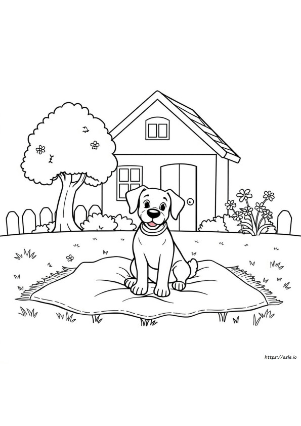Hayvanlar Köpekler Boyama Sayfaları