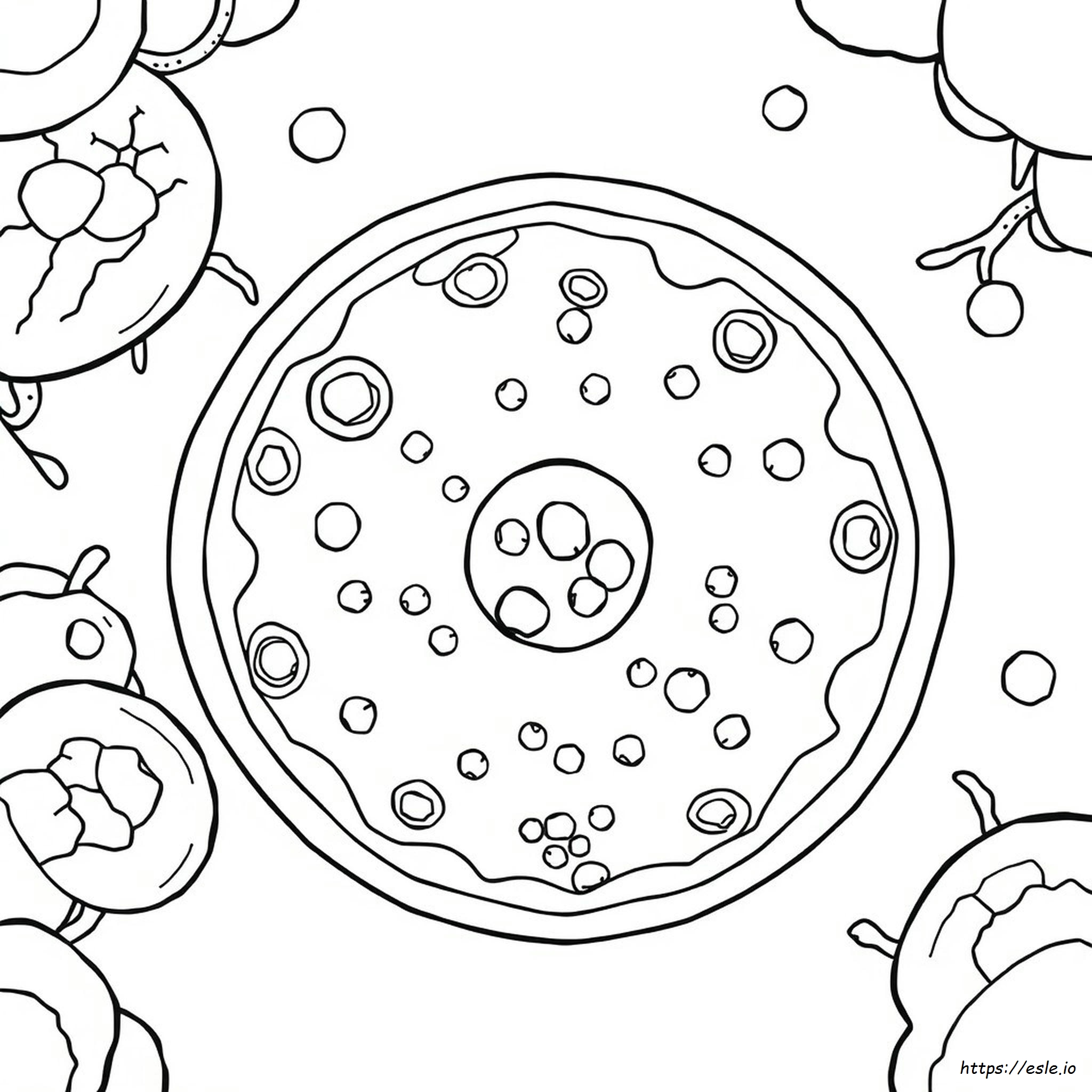 Cell Biology Coloring Pages