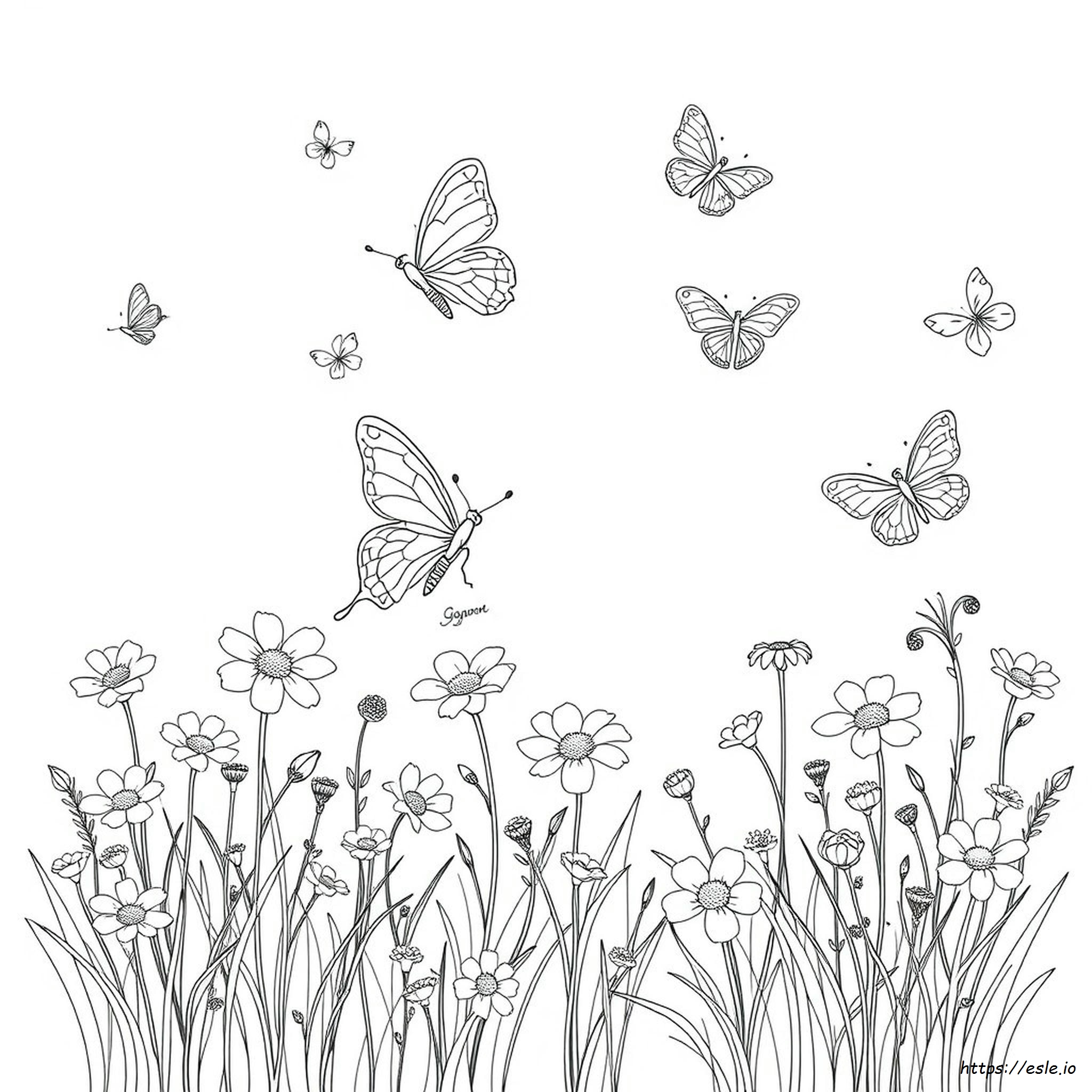 Gossamer Coloring Pages