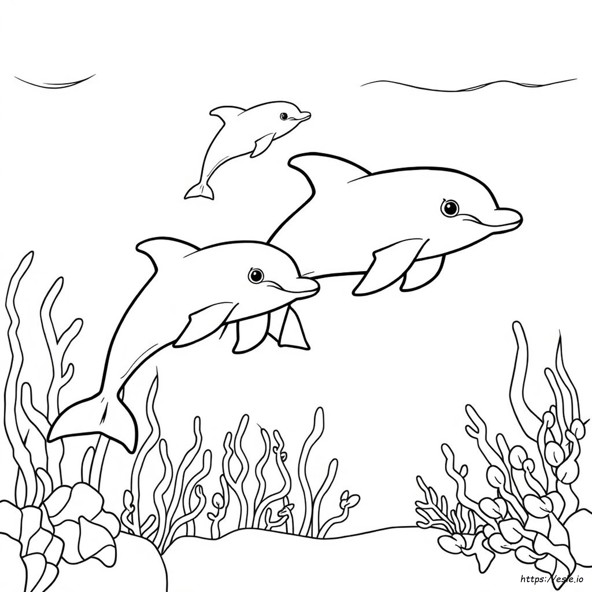 Dolphin Images For Colouring