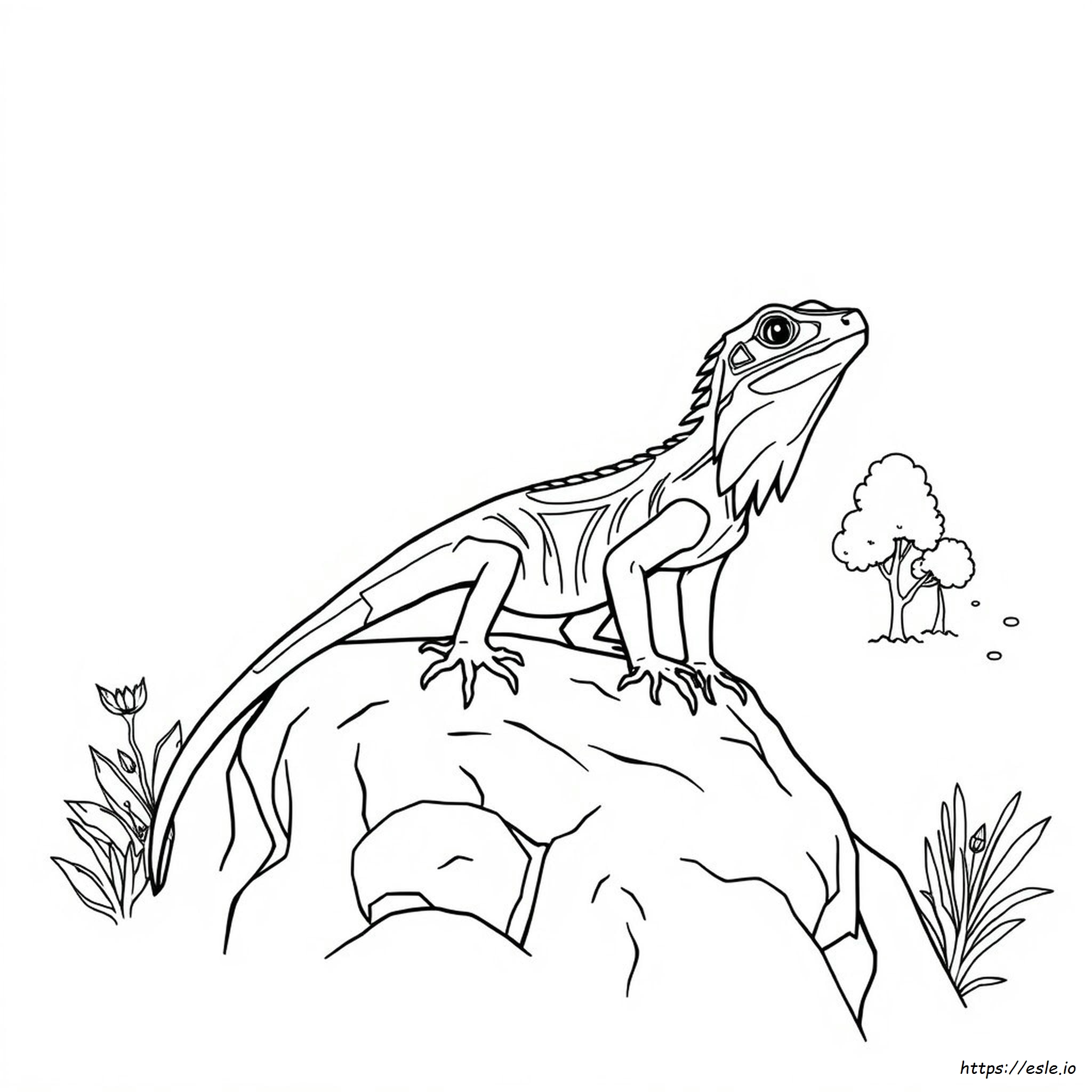 Frilled Neck Lizard Coloring Page
