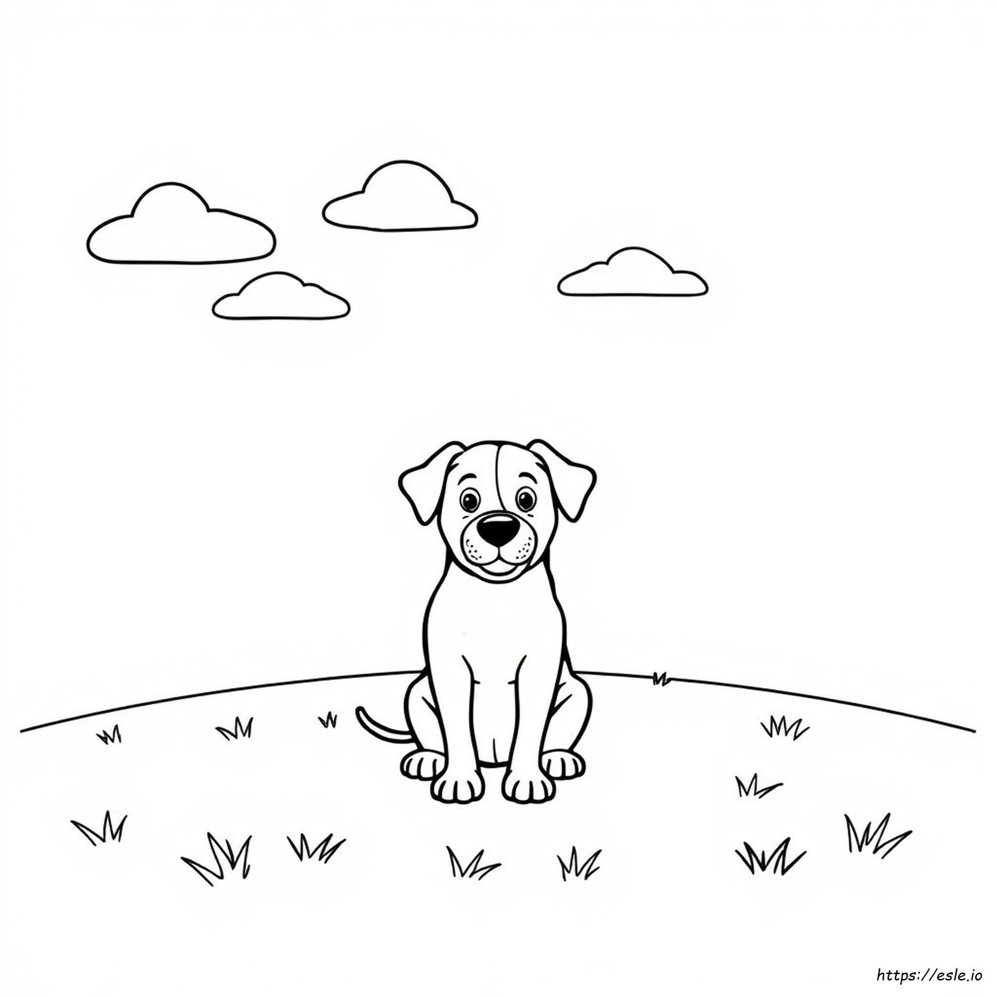 Wie Man Einen Hund Ausmalt