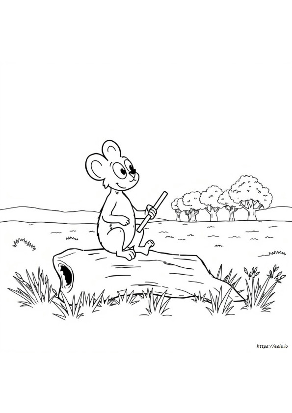 Blinky Bill Colouring Pages