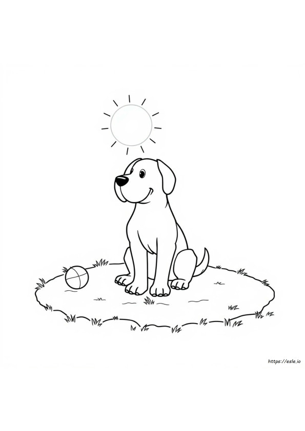 Büyük Köpek Boyama
