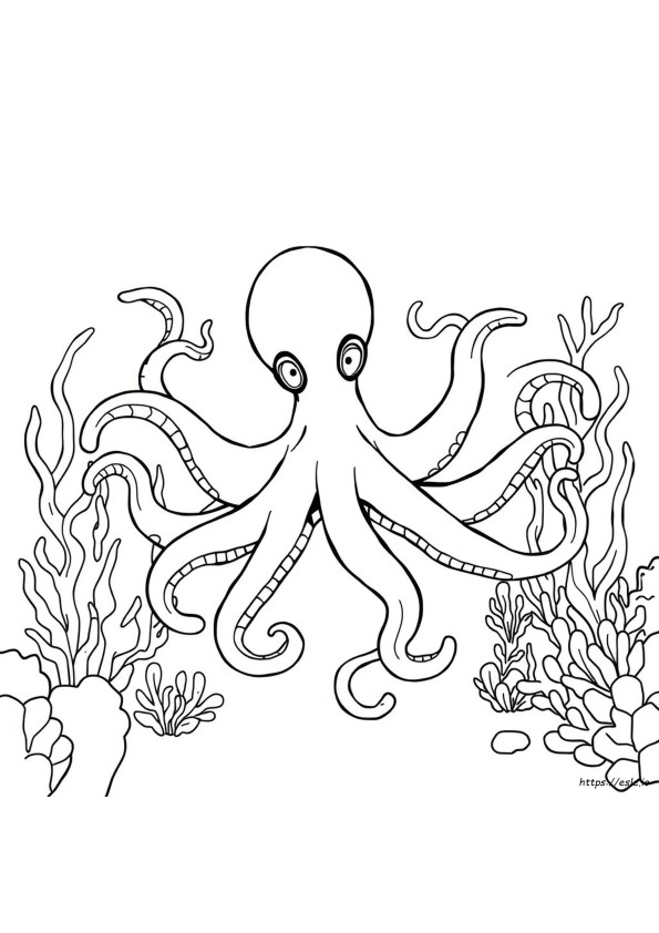 Coloring Page Of An Octopus