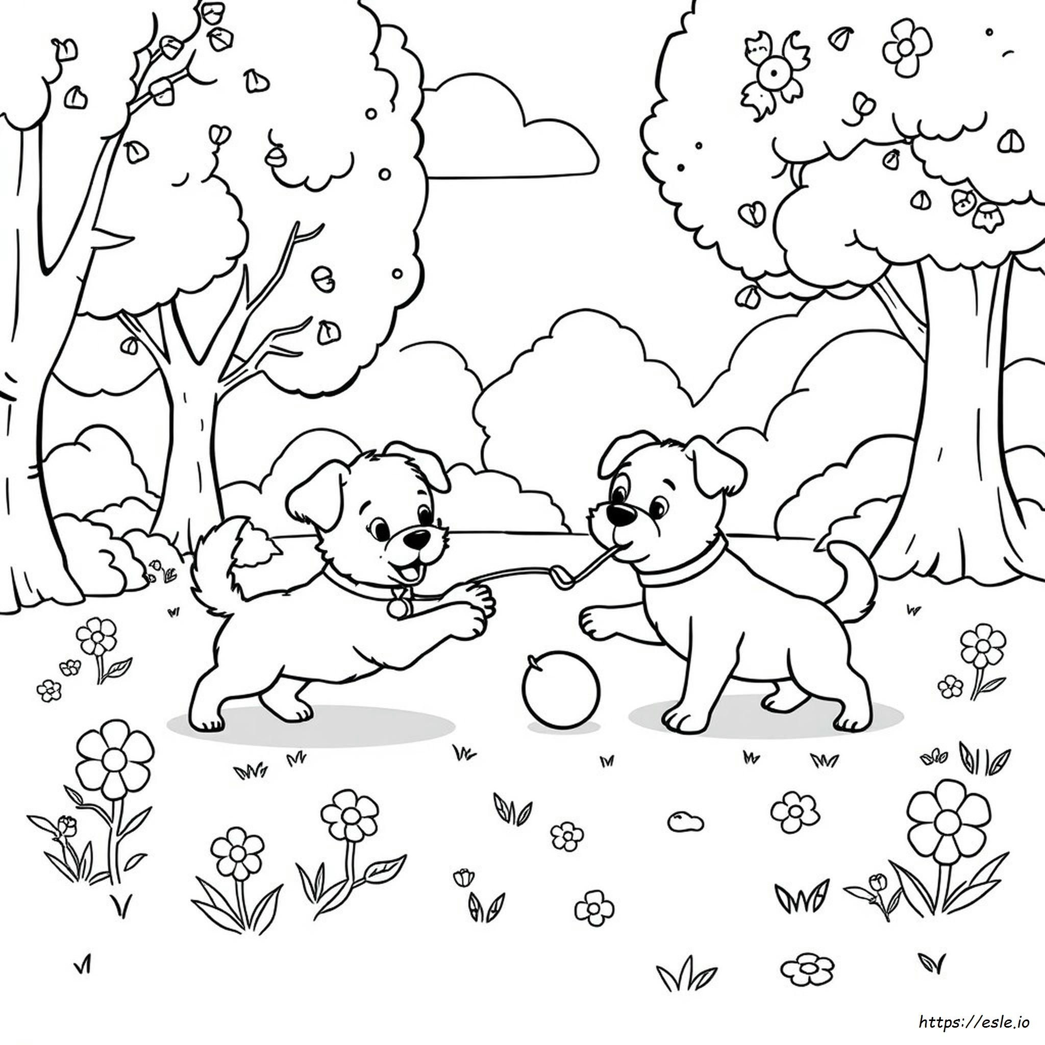 Animali Carini E Divertenti Da Colorare