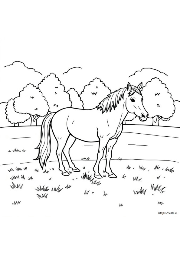 Horse Coloring Pages Printable Pdf