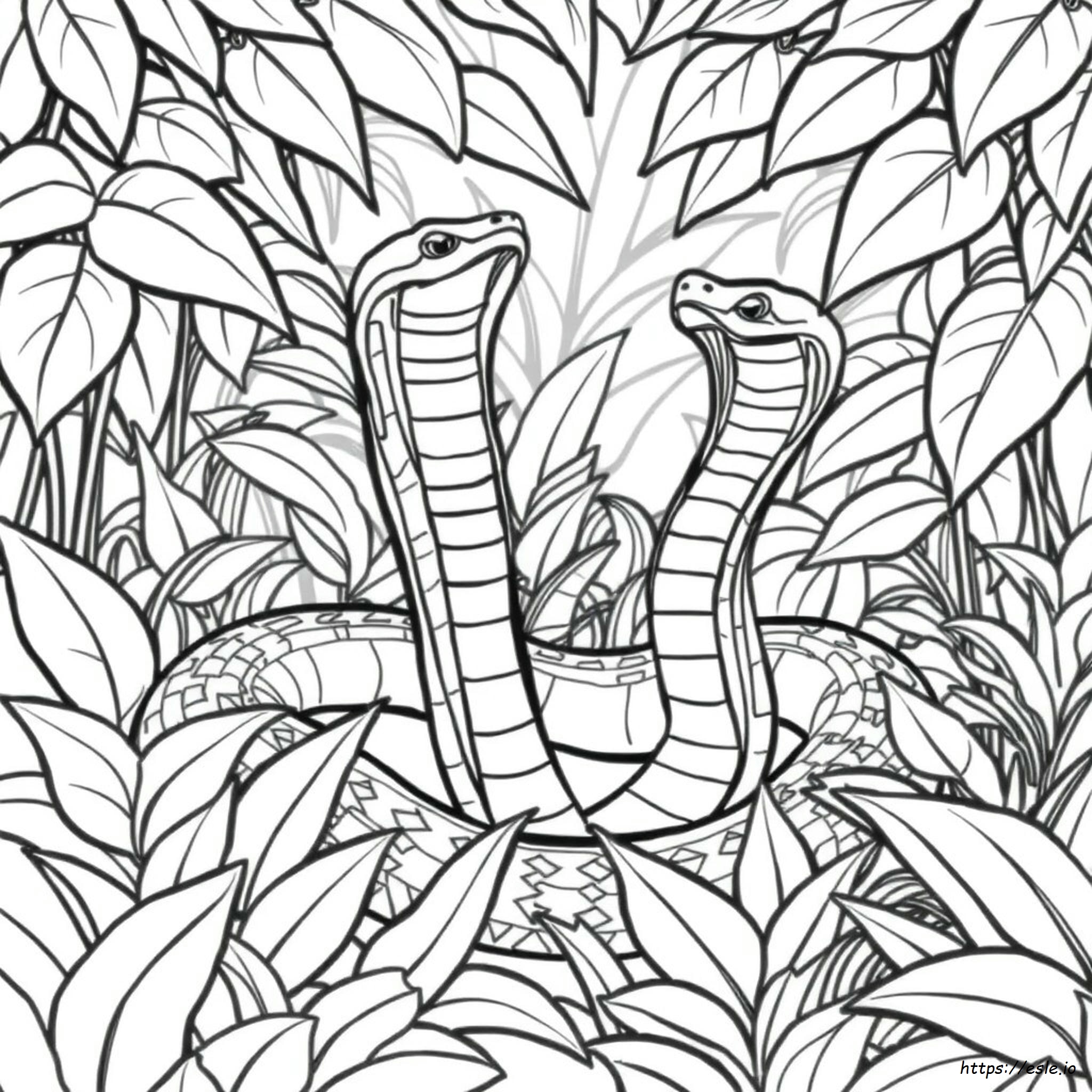 King Cobra Colouring In