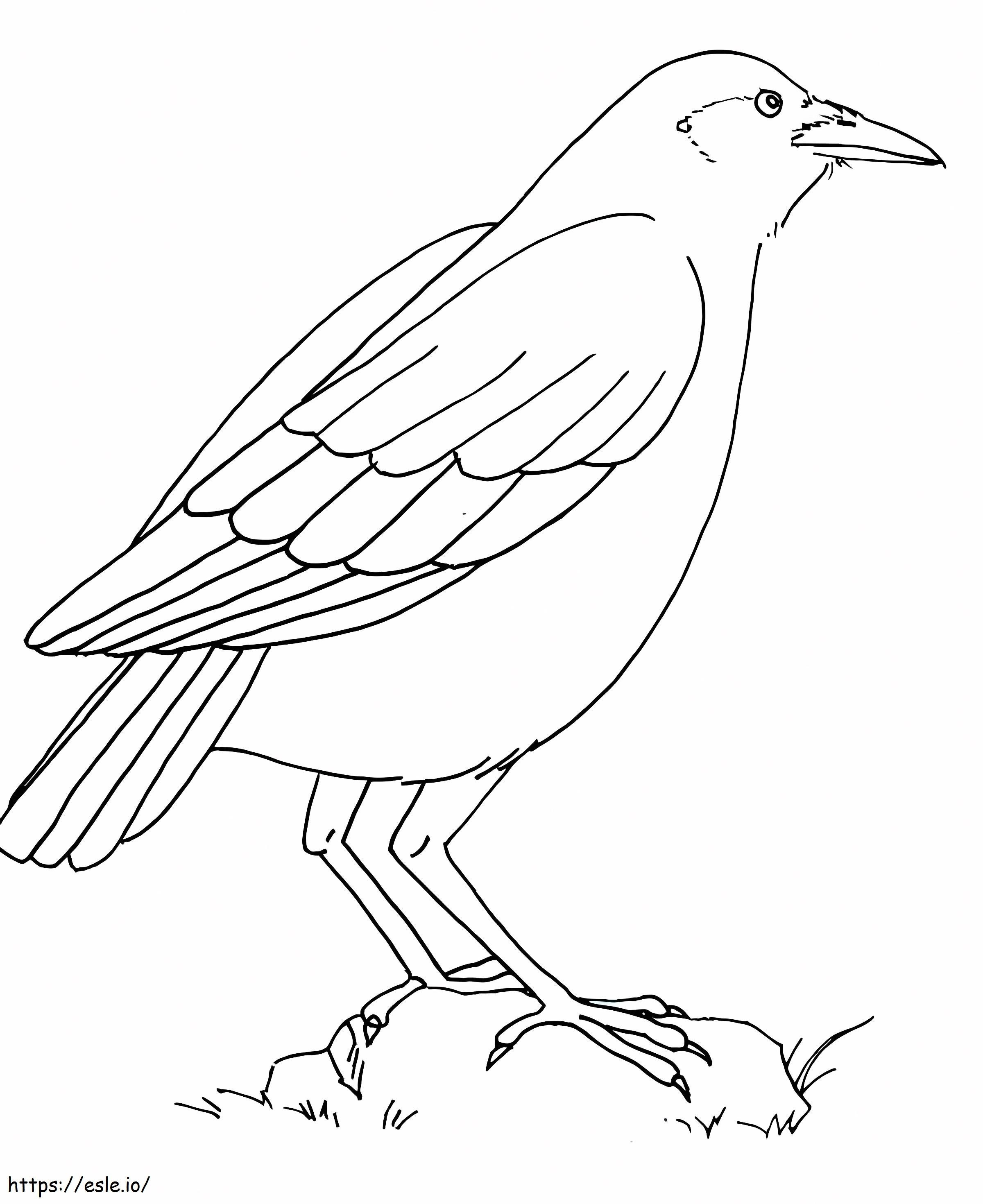 Raven Standing On A Rock coloring page