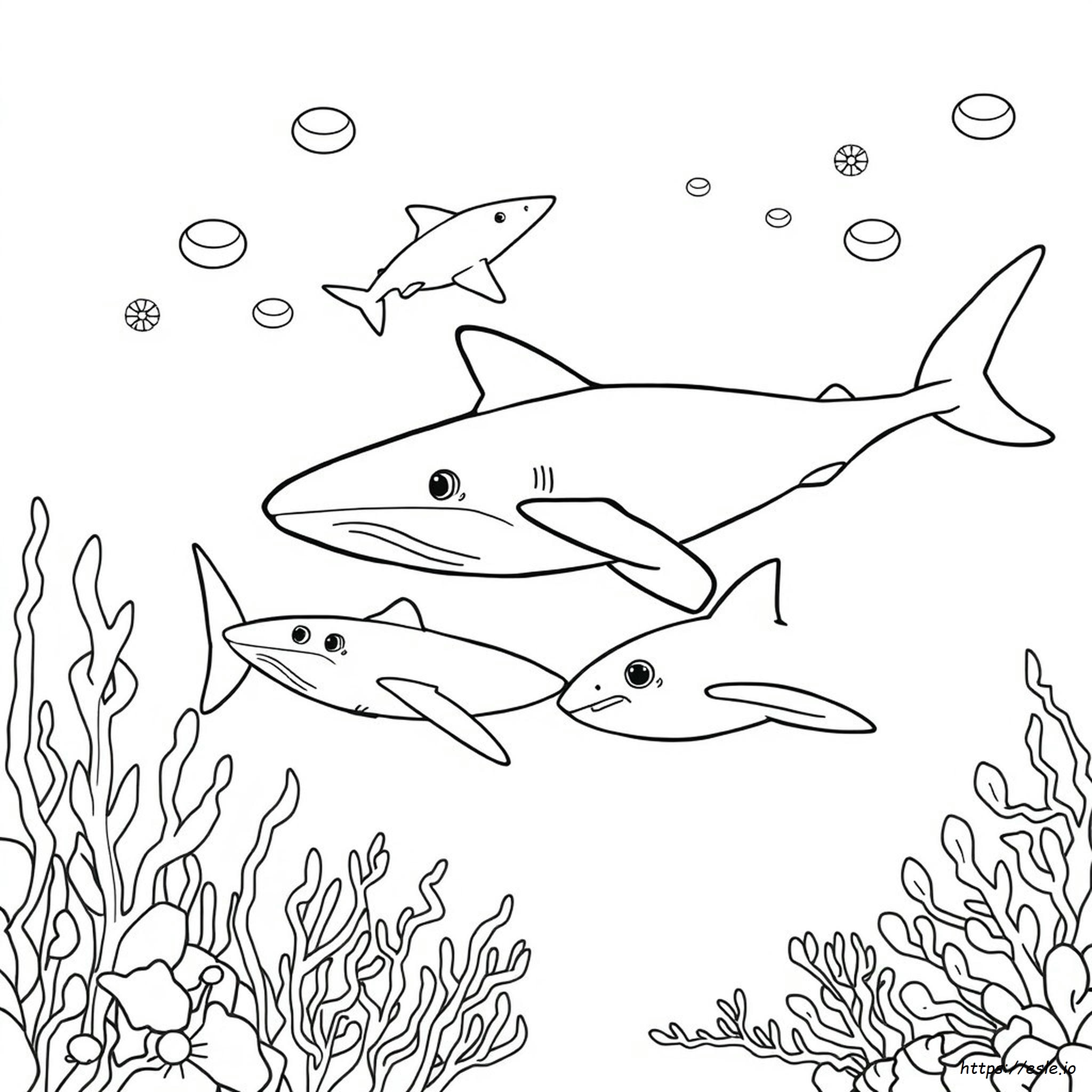 Pagina Da Colorare Squalo Balena. Disegni Da Colorare Squalo Balena