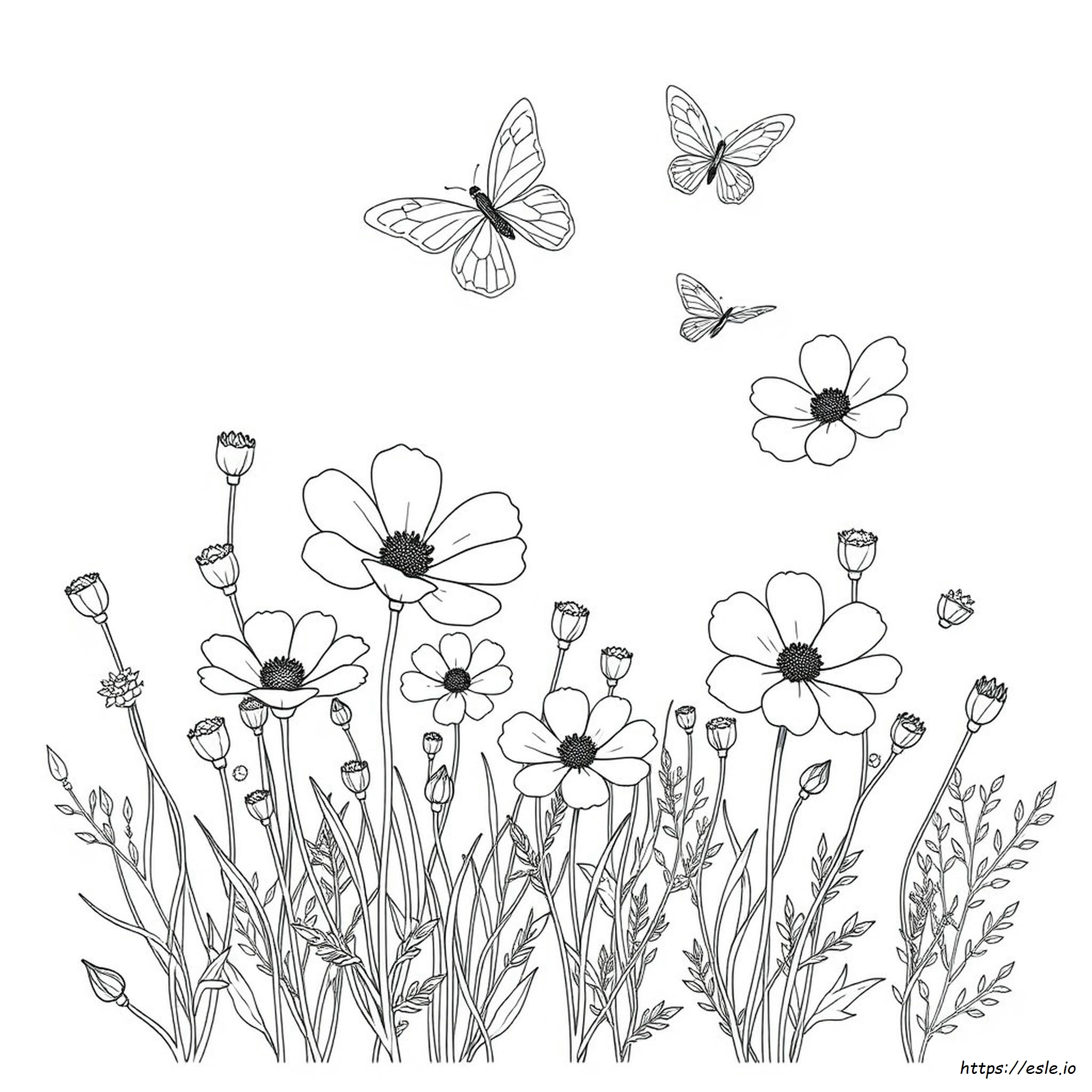 Flor Cosmos Para Colorear