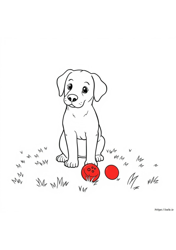 Lindo Labrador Para Colorear