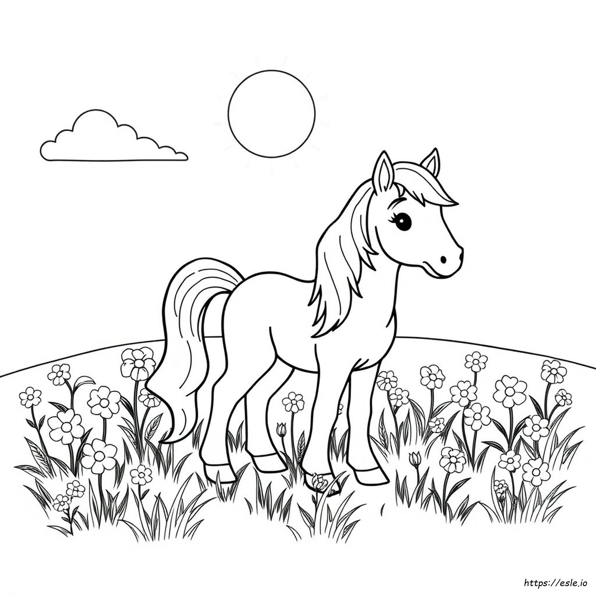 Pony Coloring Images