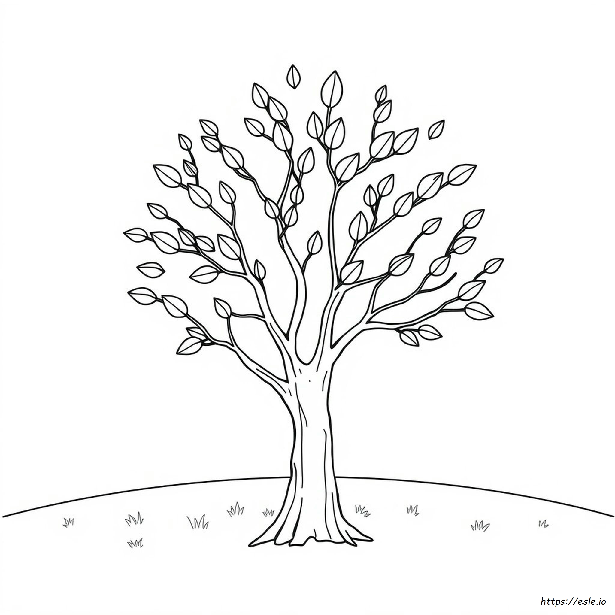Spring Leaves Coloring Pages