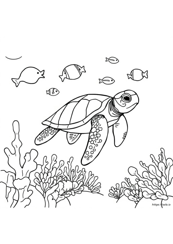 Coloriage Animaux Marins