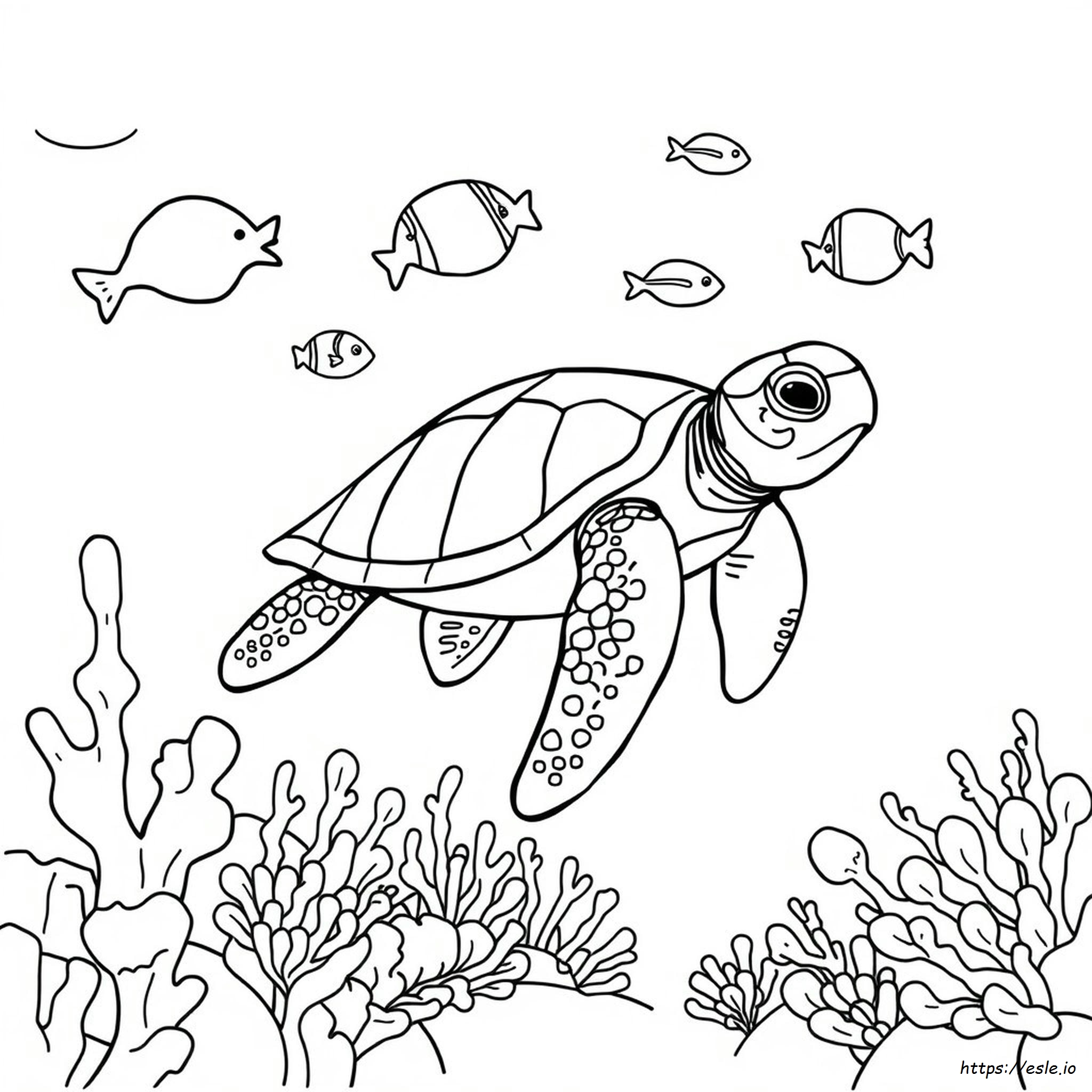 Sea Animal Colouring