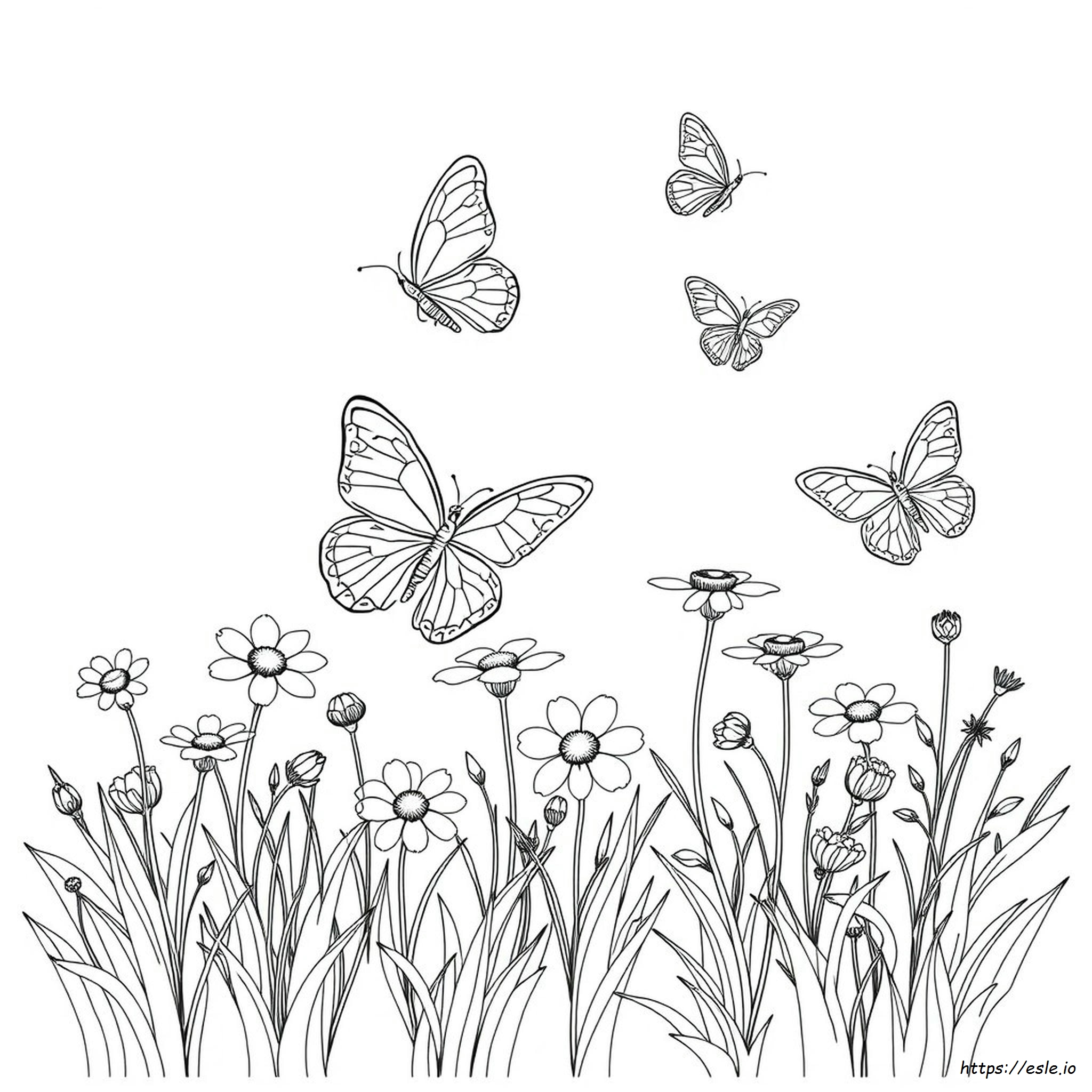 Coloring Pages With Butterflies