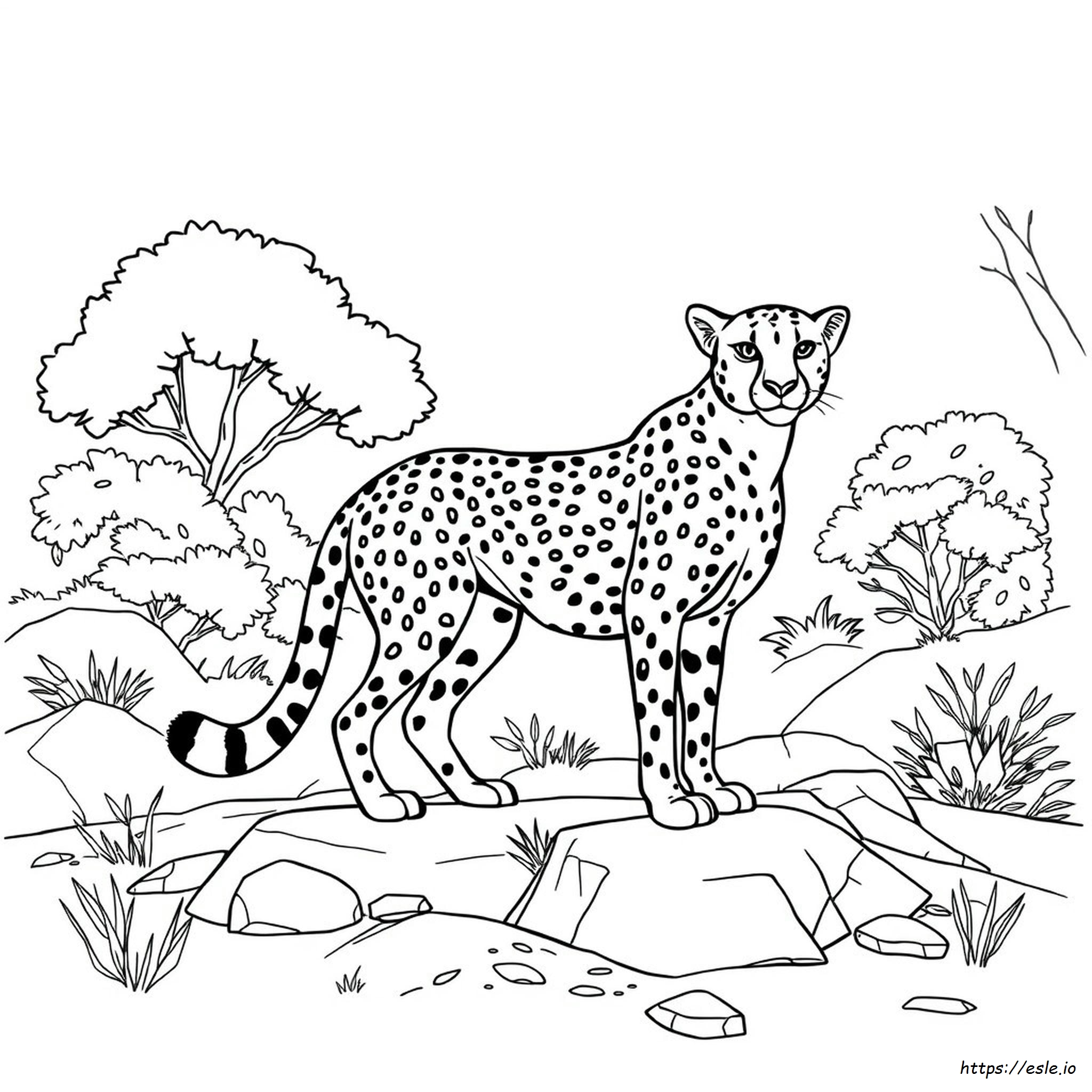 Realistic Cheetah Coloring Pages