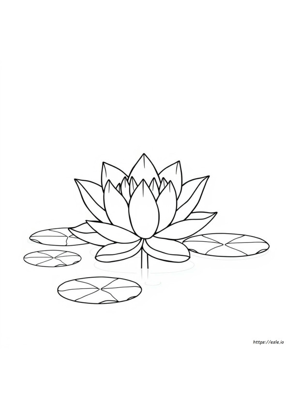 Colouring Pages Of Lotus Flower