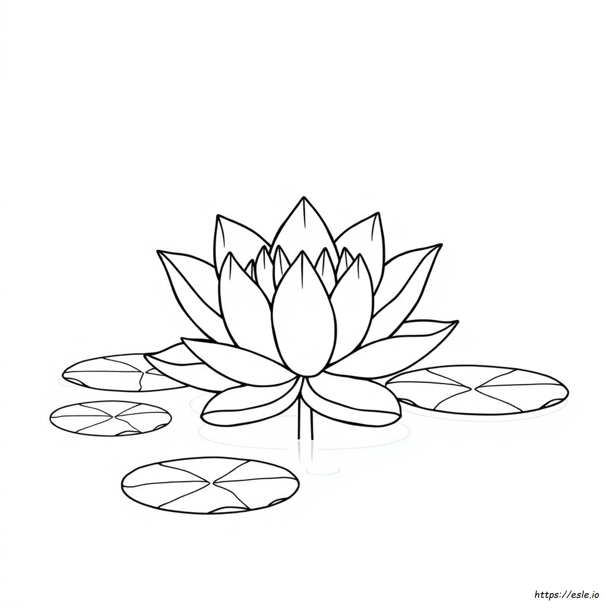 Flor De Lótus Para Colorir