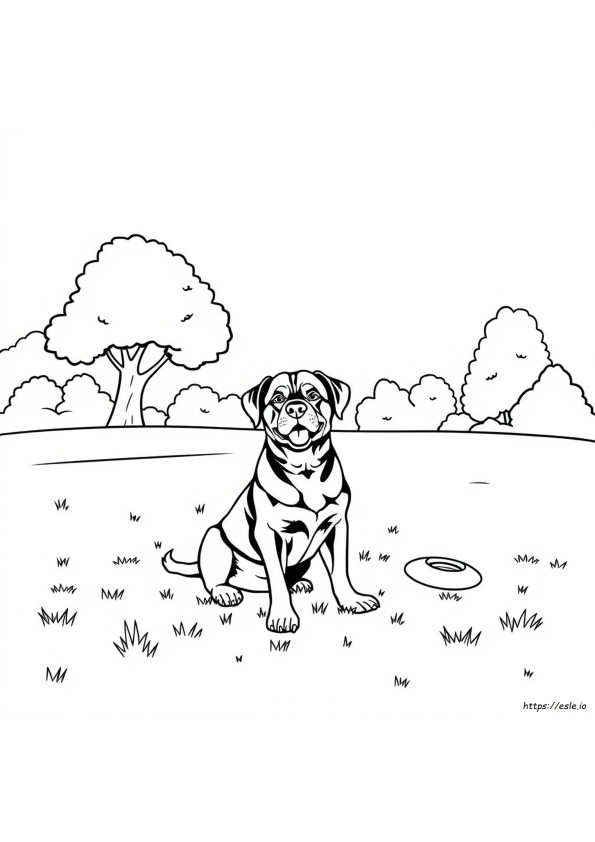Kolorowanki Rottweiler
