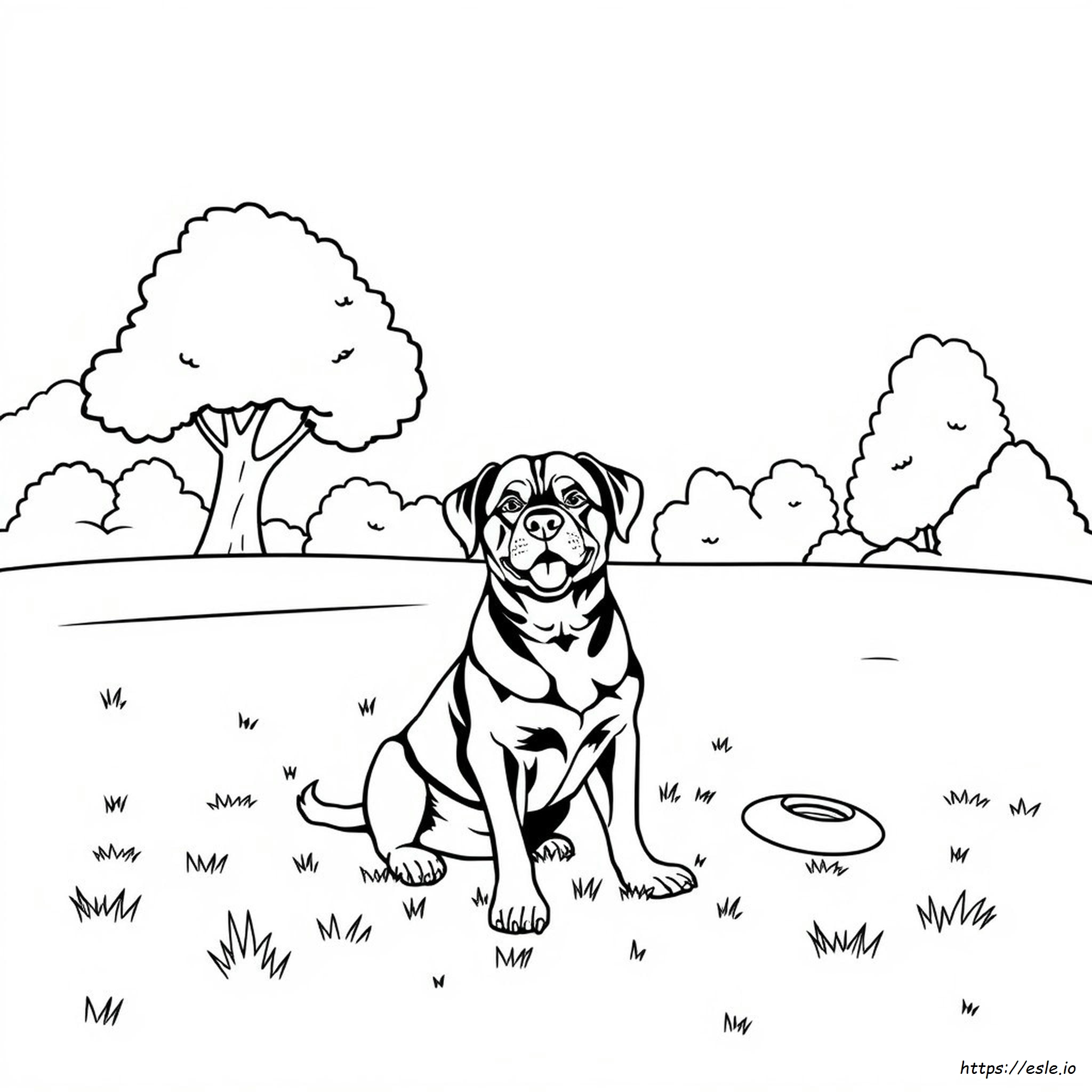Coloriage Rottweiler À Imprimer
