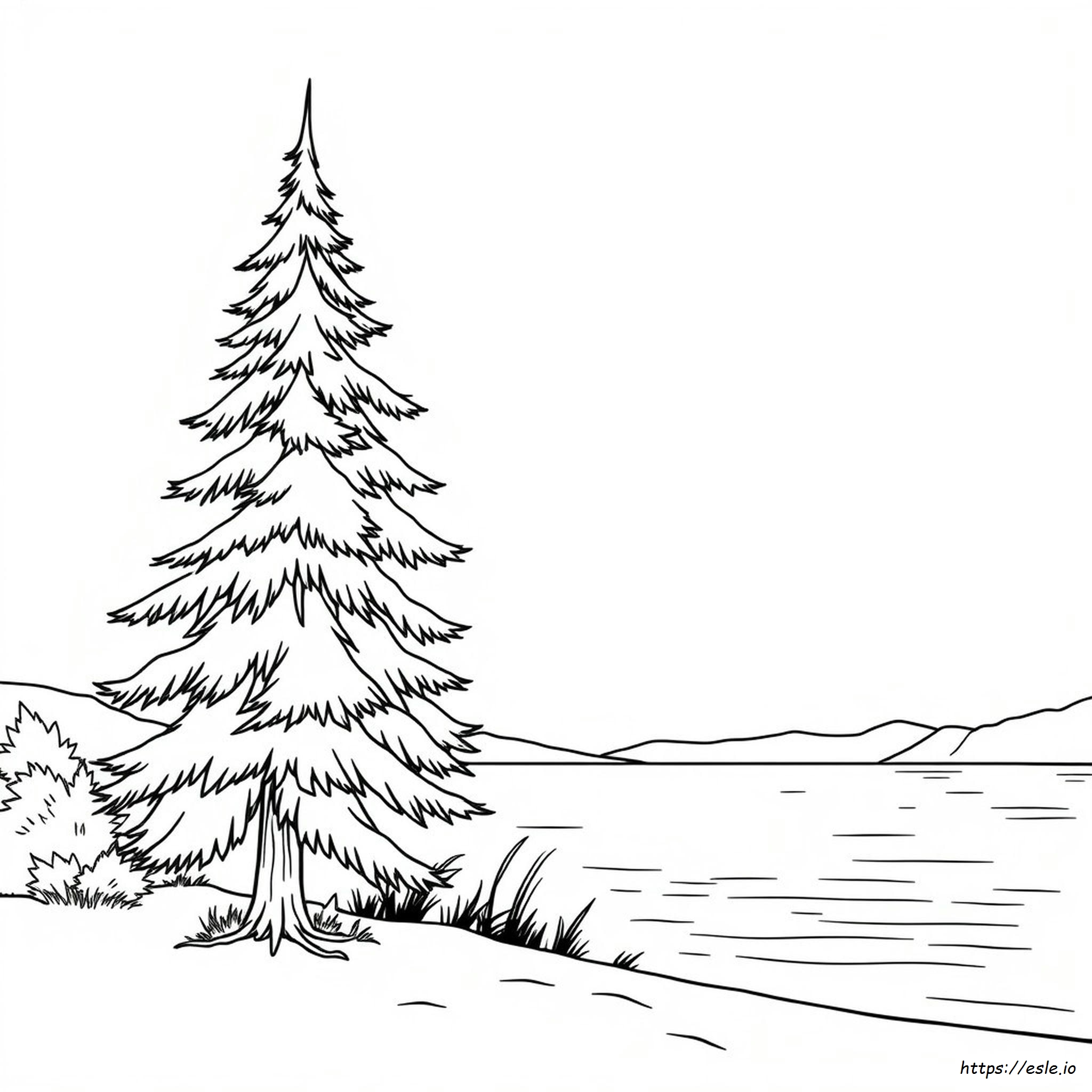 Evergreen Color Meaning