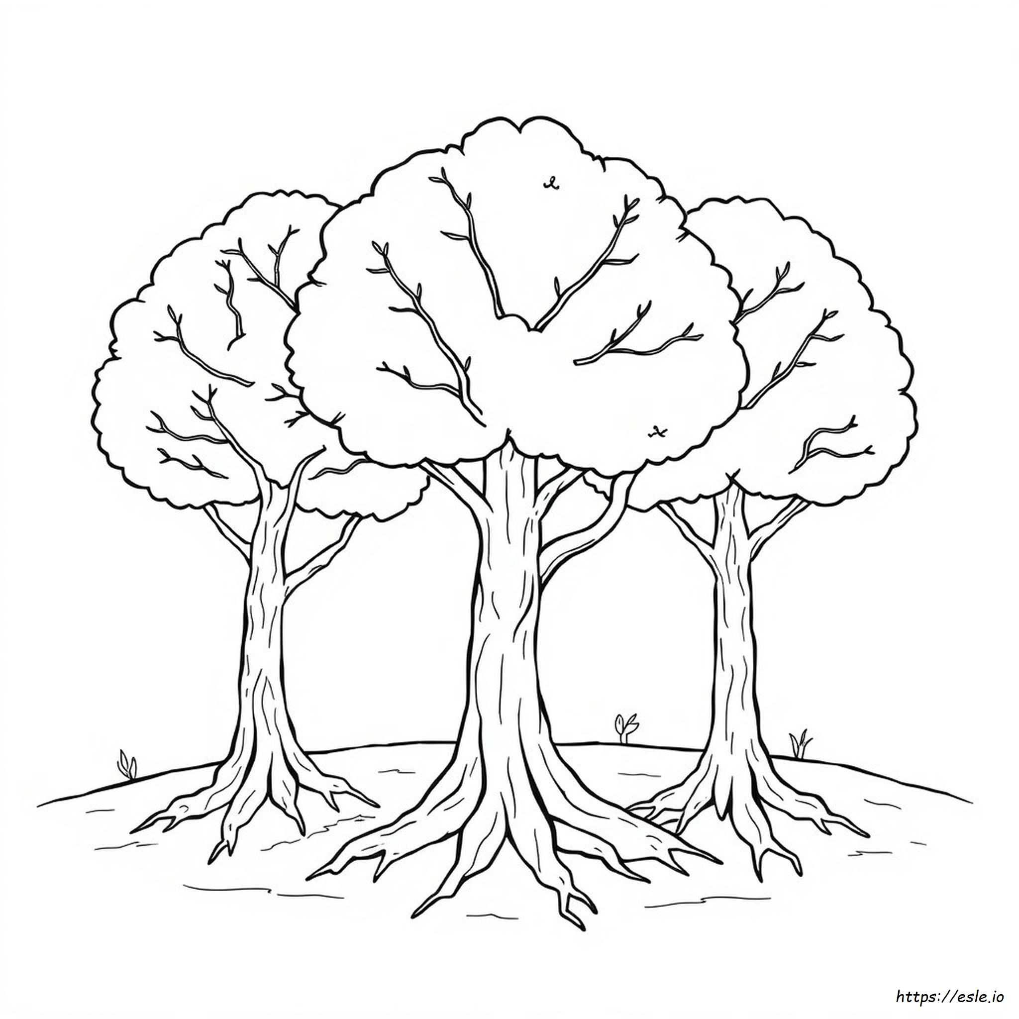 Coloring Pages Of Trees With Branches